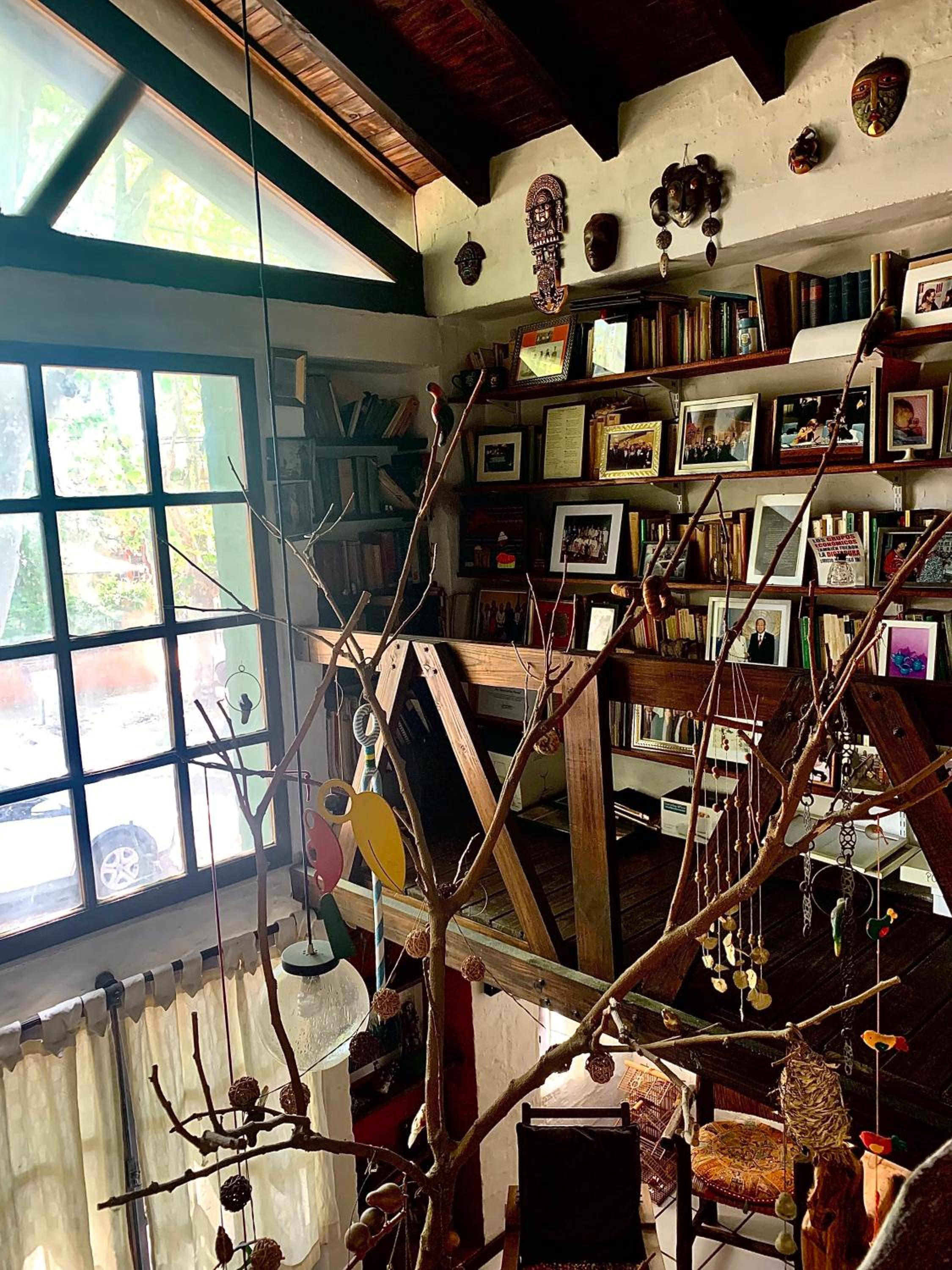 La Casa del Árbol Chacras de Coria