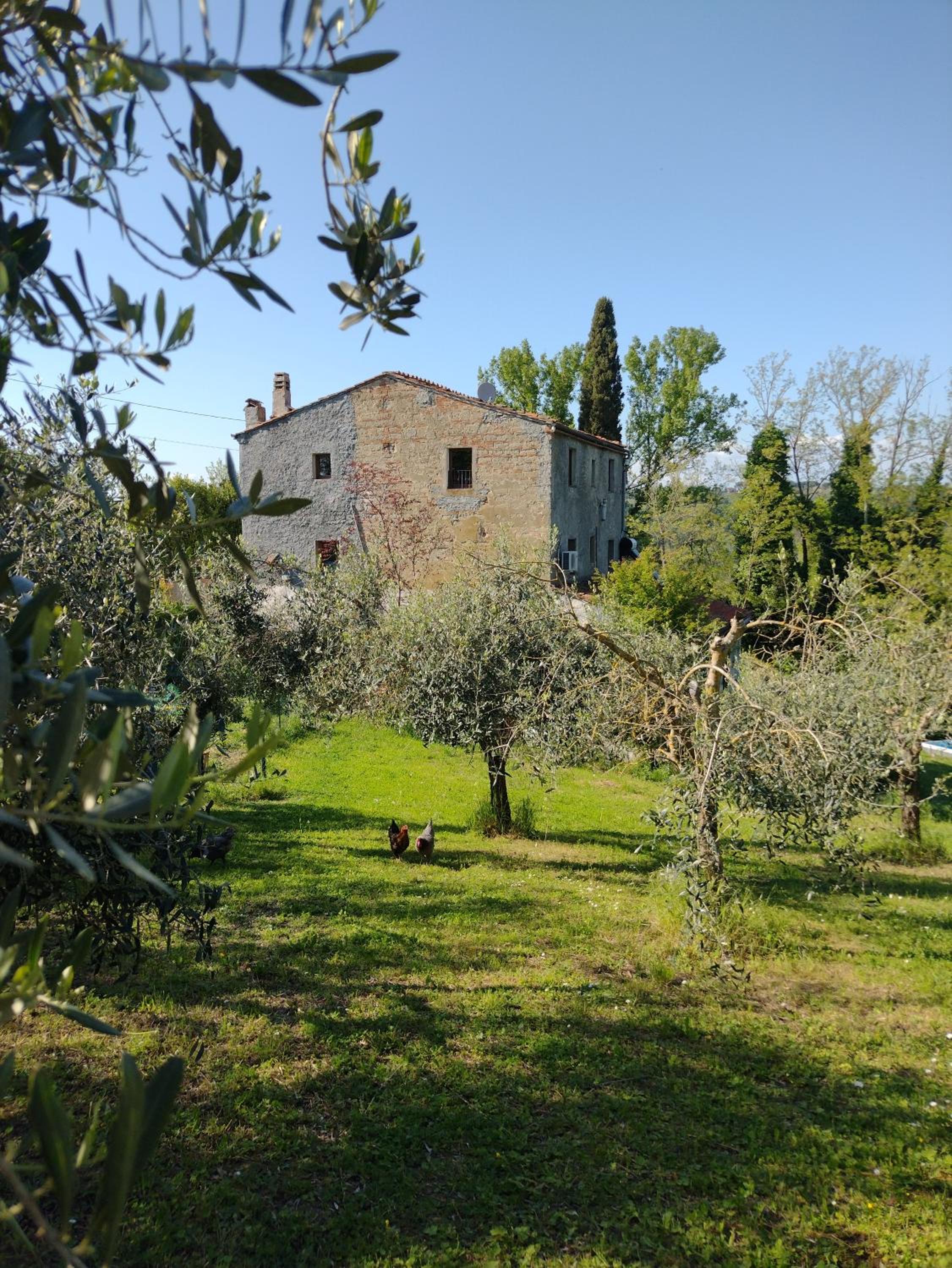 Appartamento con piscina e giardino - Lavanda