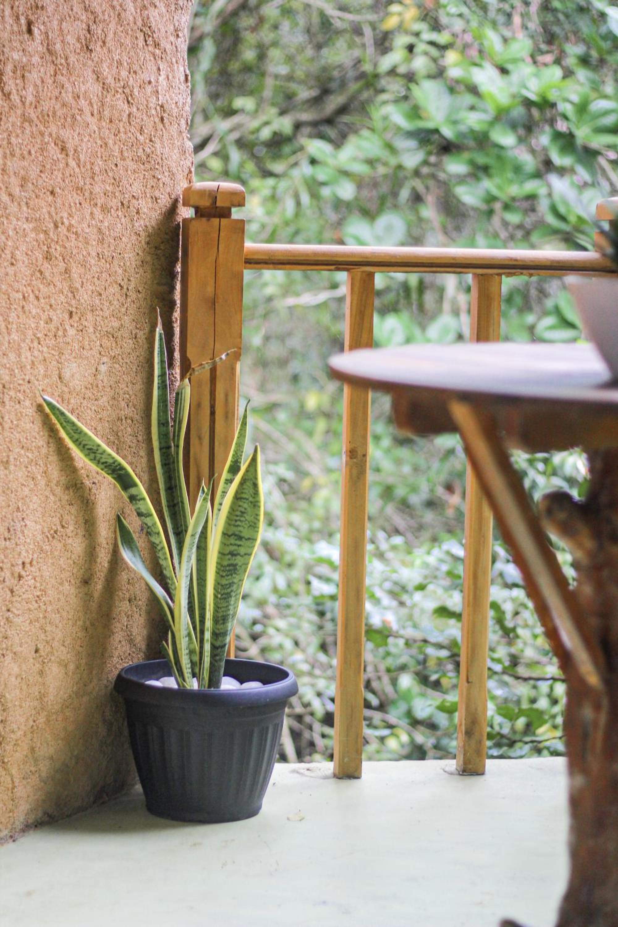 Seasons Four Mini Jungle Cabana