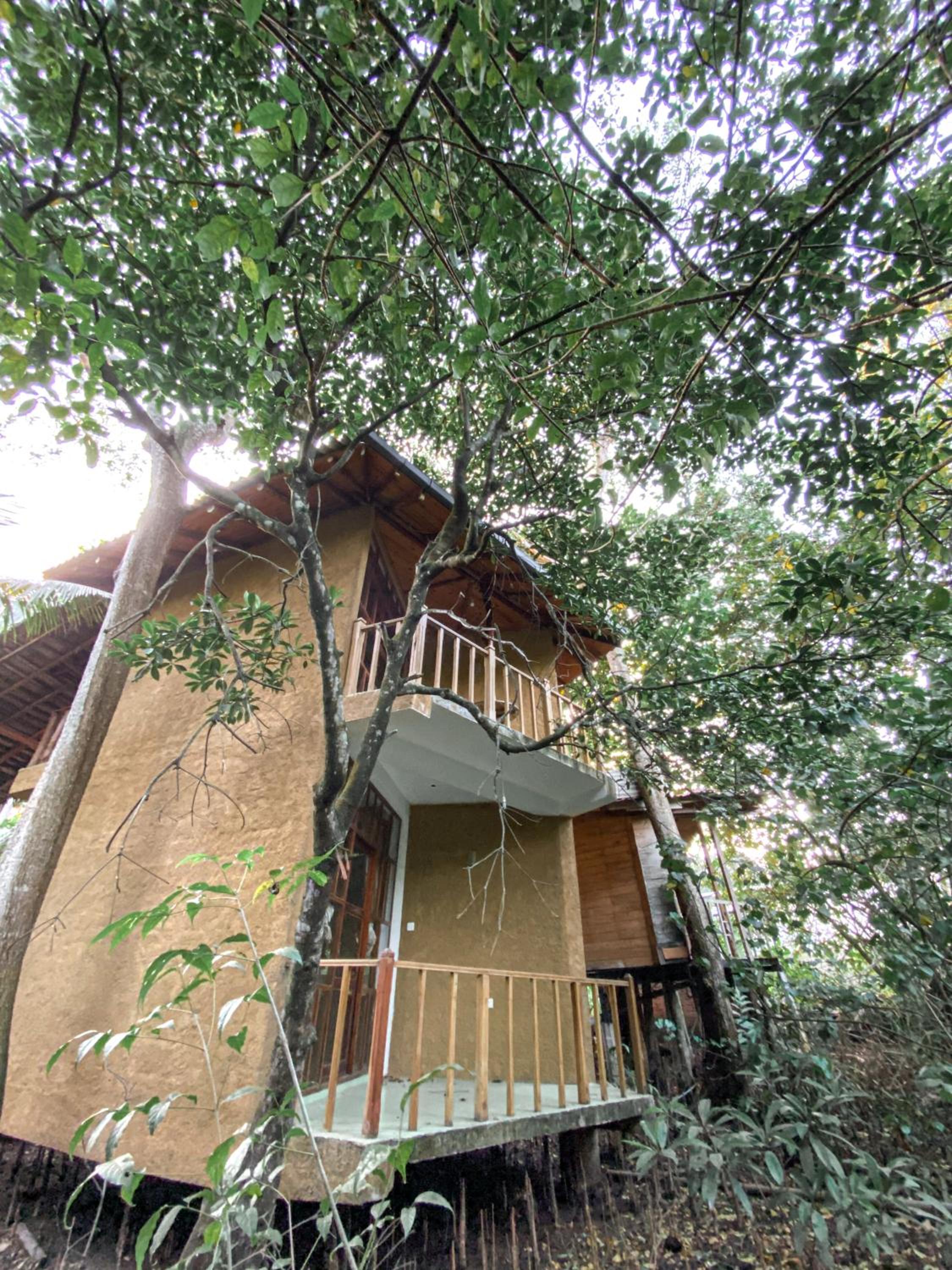 Seasons Four Mini Jungle Cabana