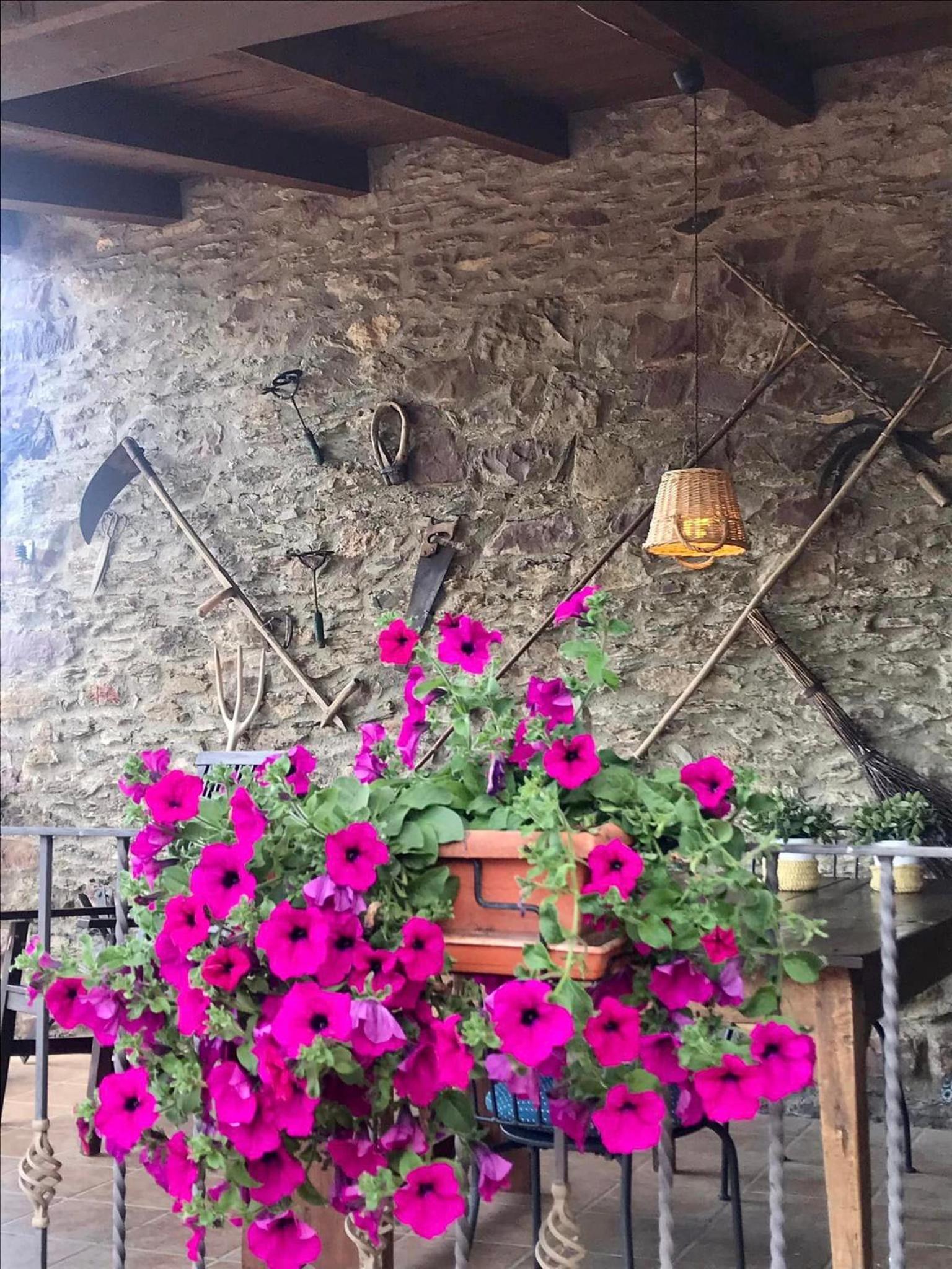 La Moixardina