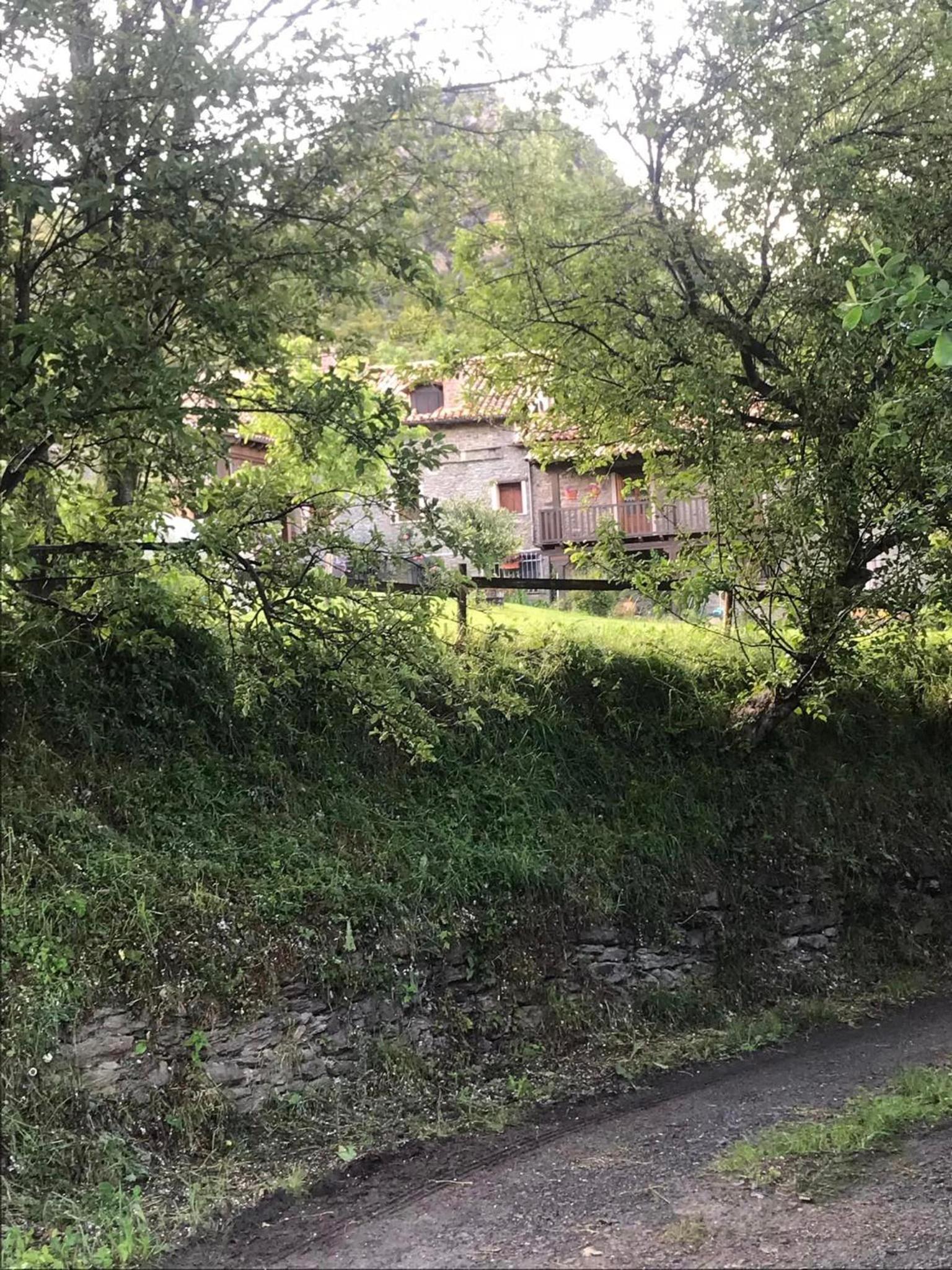La Moixardina