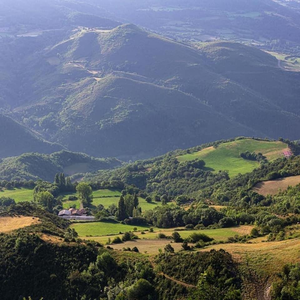 La Moixardina