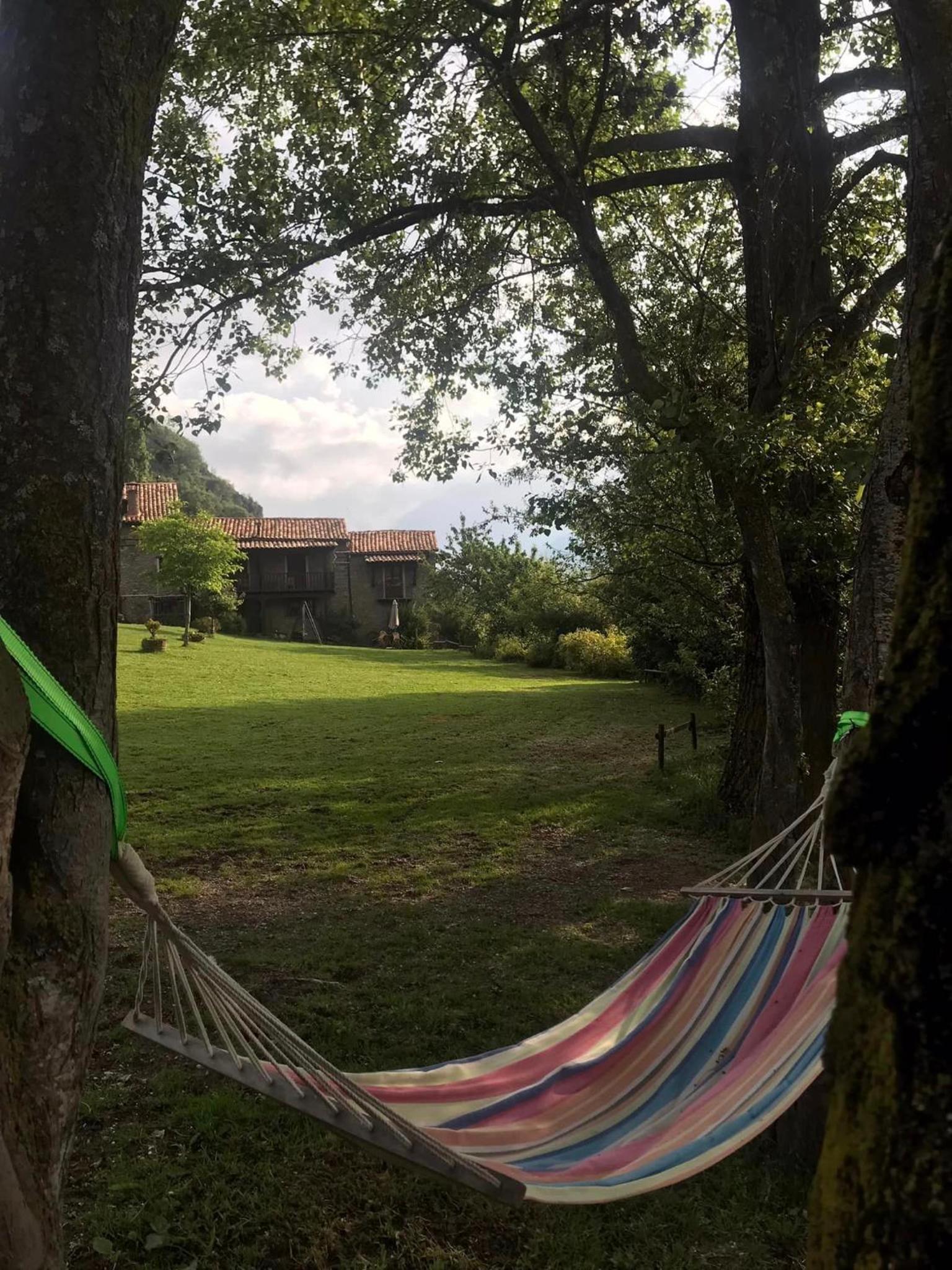 La Moixardina