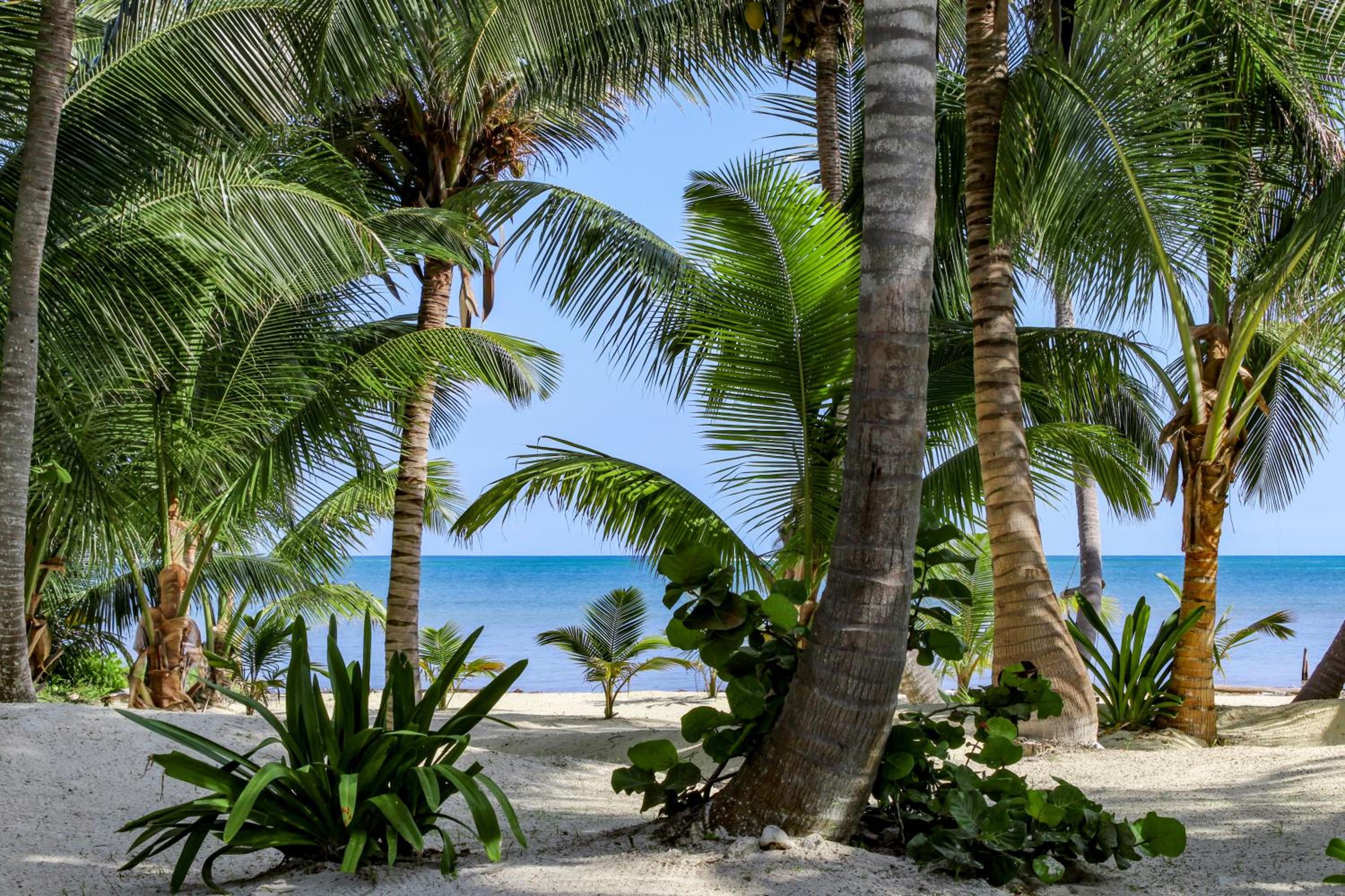 North Beach Retreat