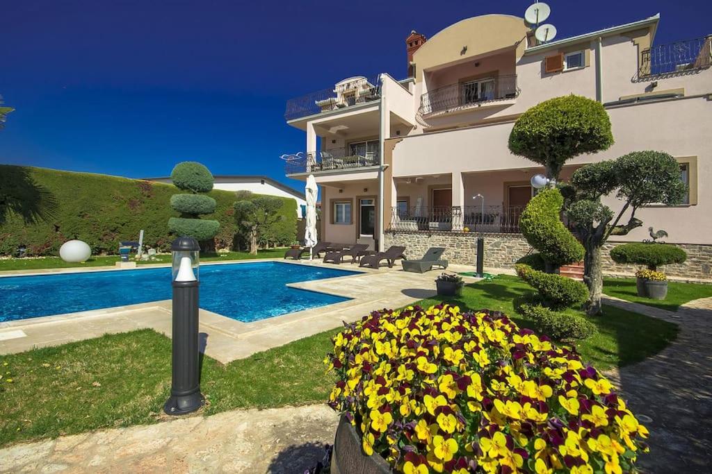 Viki - Property Image 31