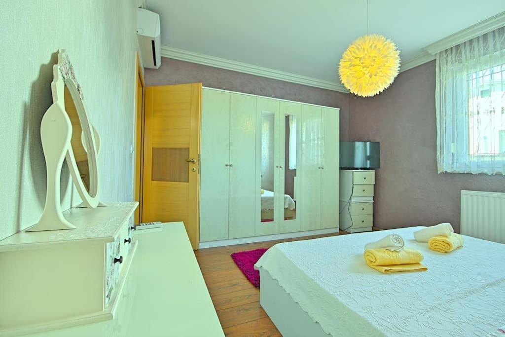 Viki - Property Image 8