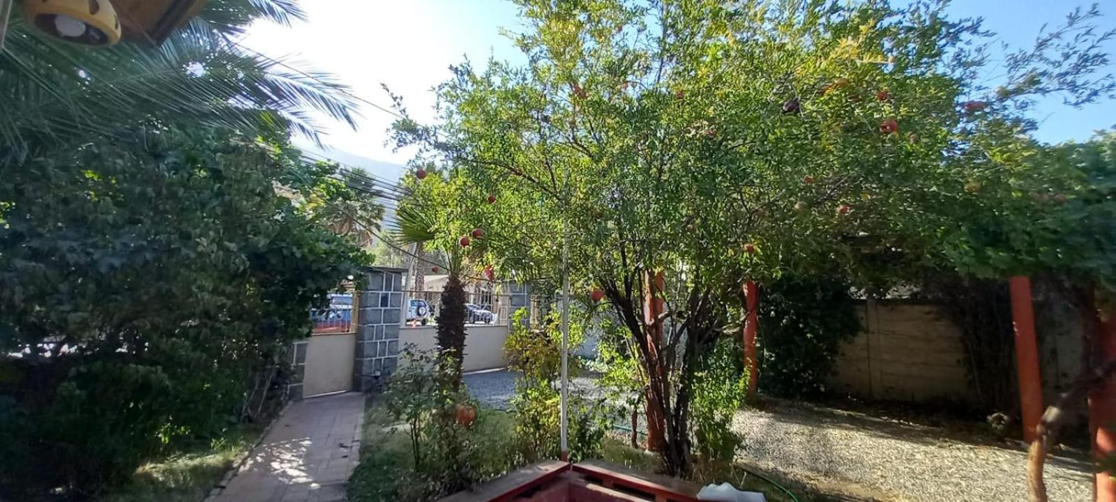 Terrandino Hostel