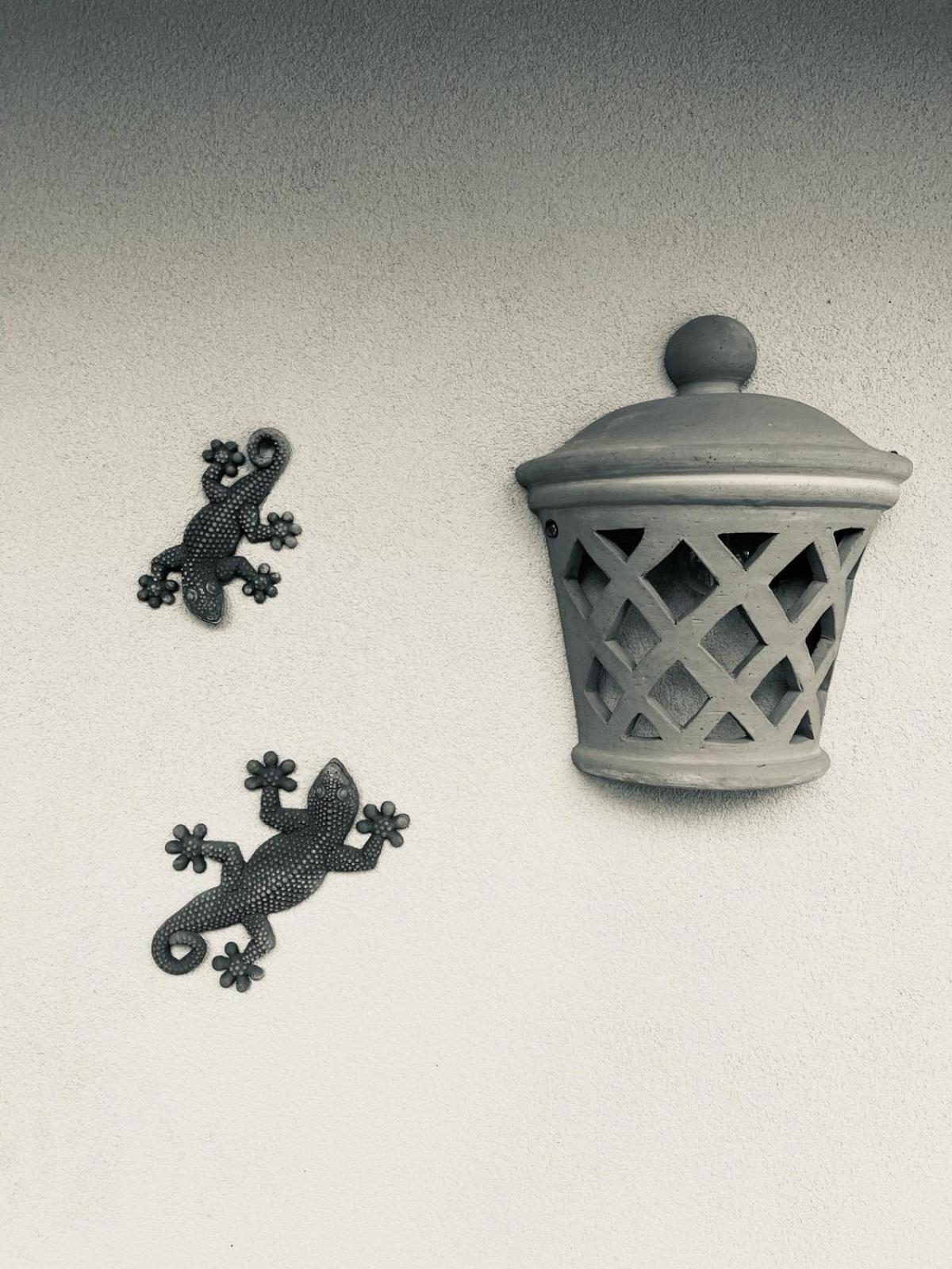 B&B Lattrazionedelgeco