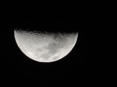 Photo 39