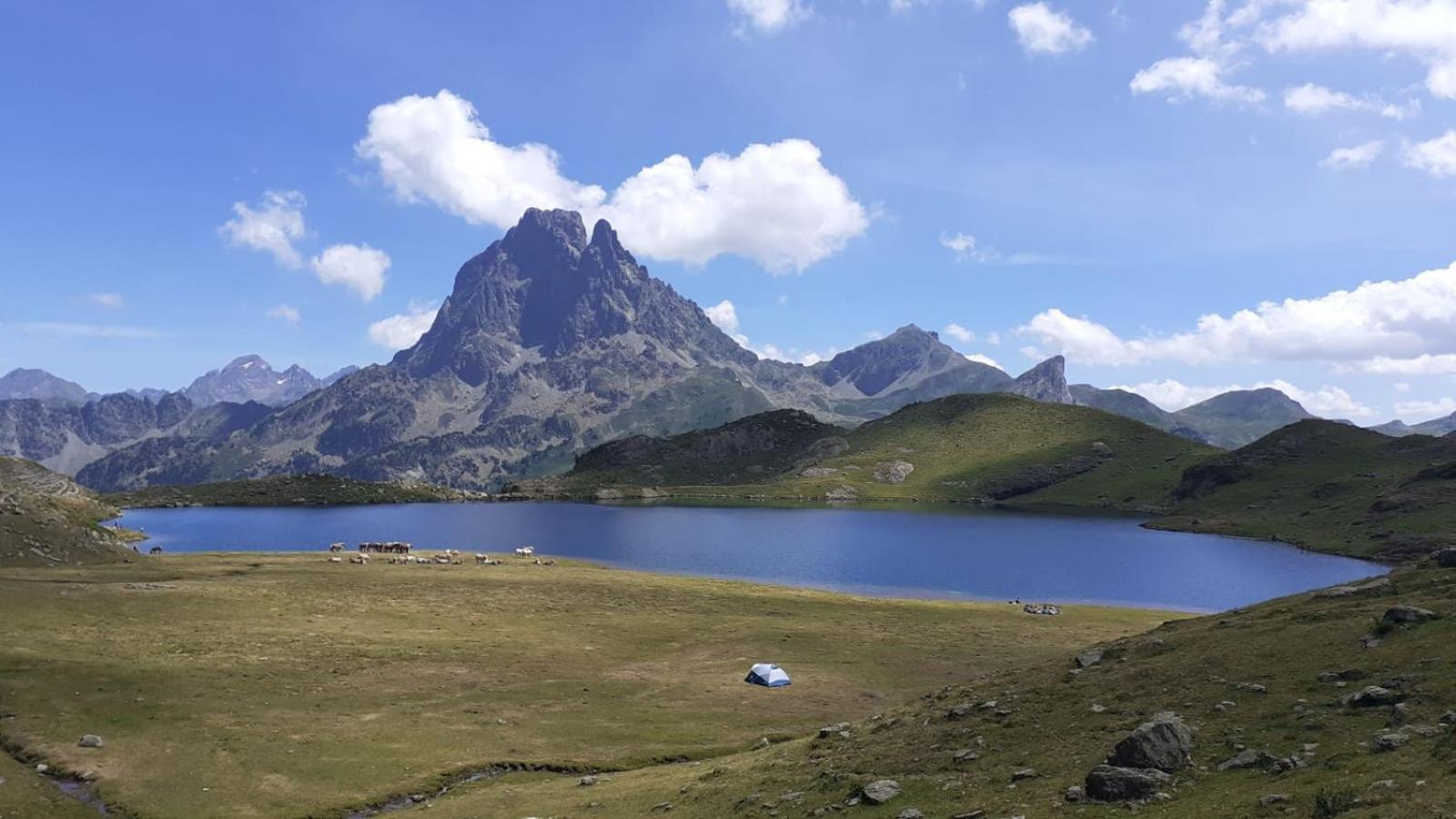 VALDI-BIESCAS