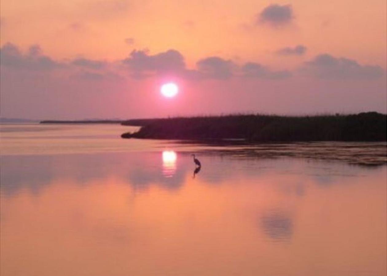 Puppy Love - Corolla, Villages at Ocean Hill, Pool, Hot Tub, Nearby Amenities, Lighthouse, Pets OK