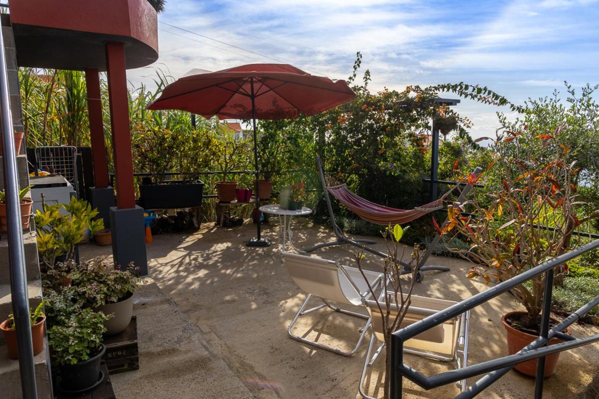 Panoramic House