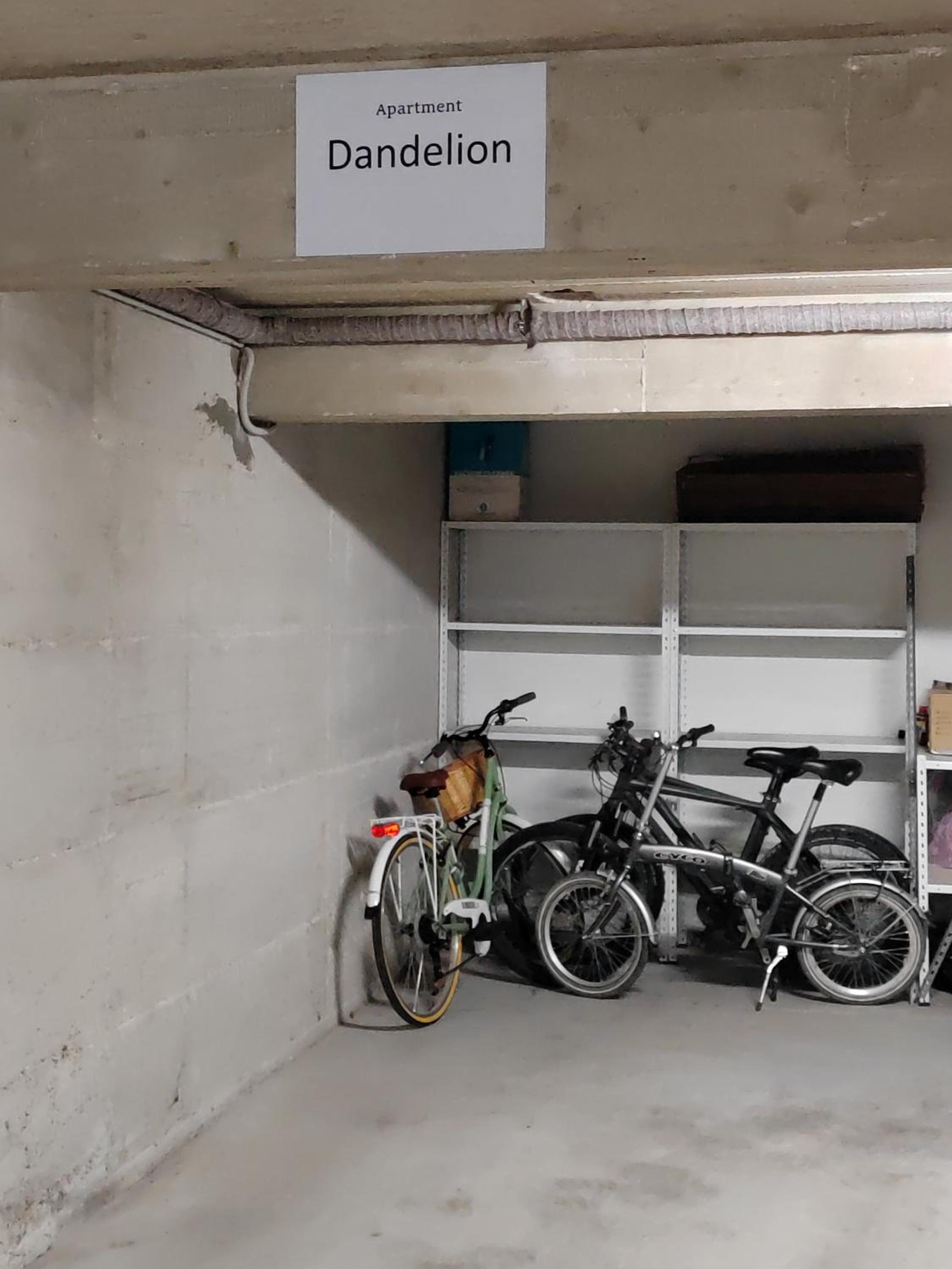 Dandelion apartment Rovinj-Free bikes