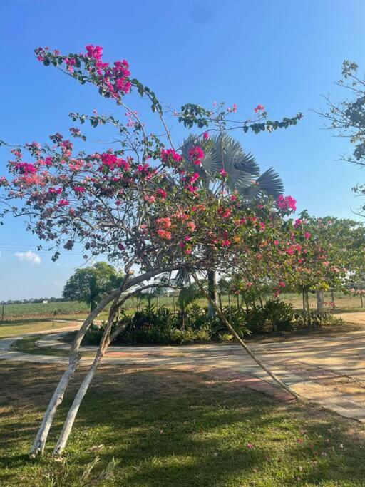 Casa de descanso, puerto lopez, Meta