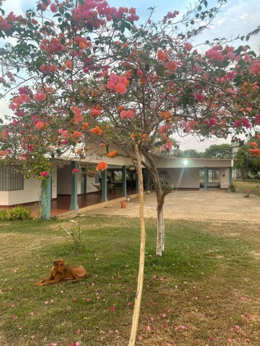 Casa de descanso, puerto lopez, Meta