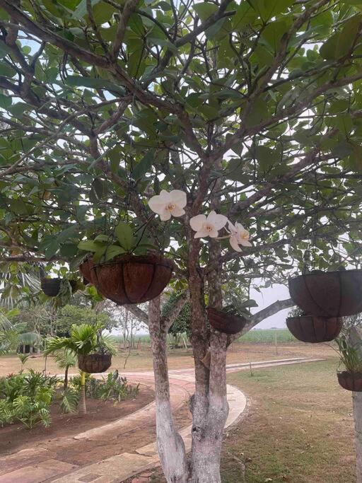 Casa de descanso, puerto lopez, Meta