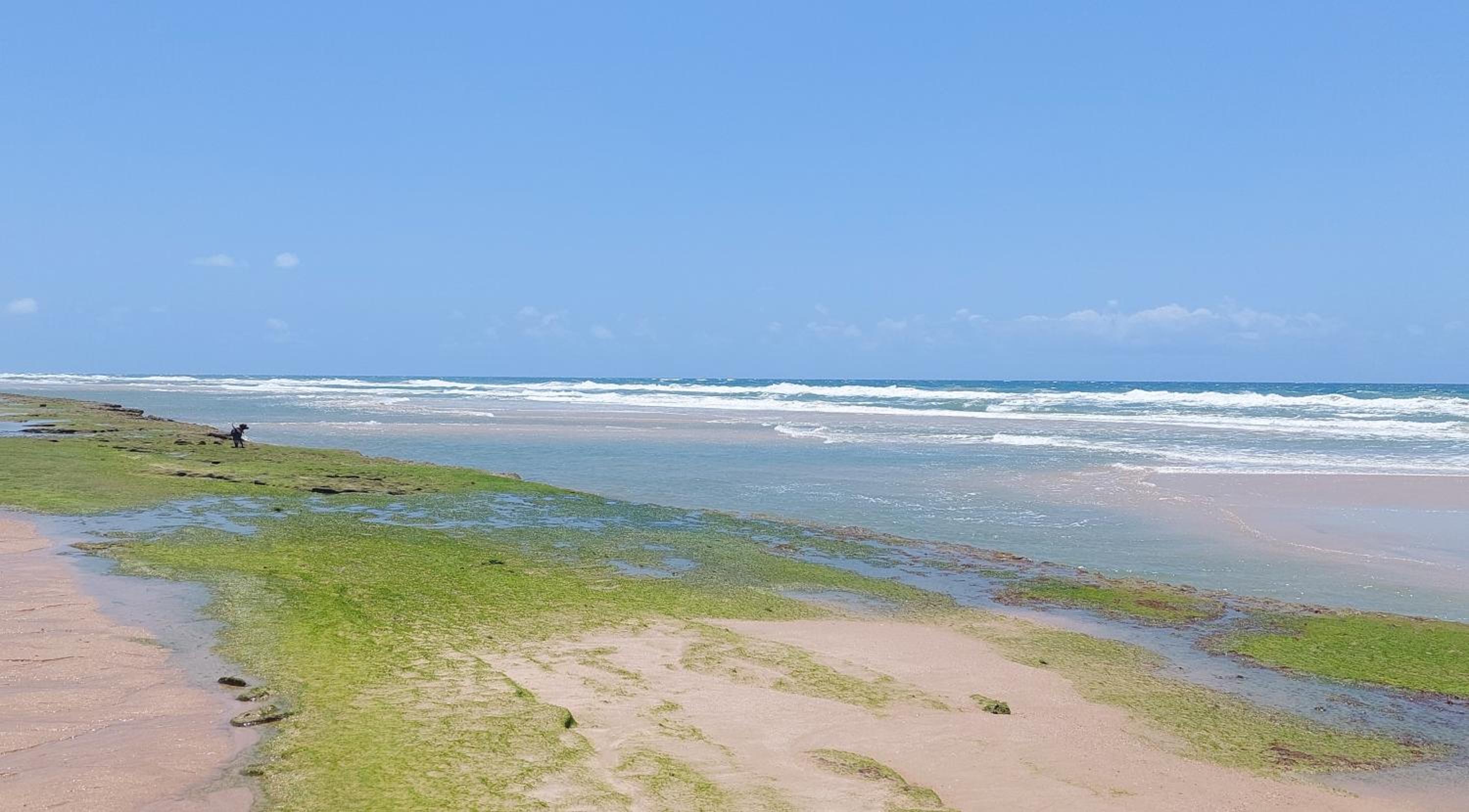 Portal Vida chalé na praia da Taiba