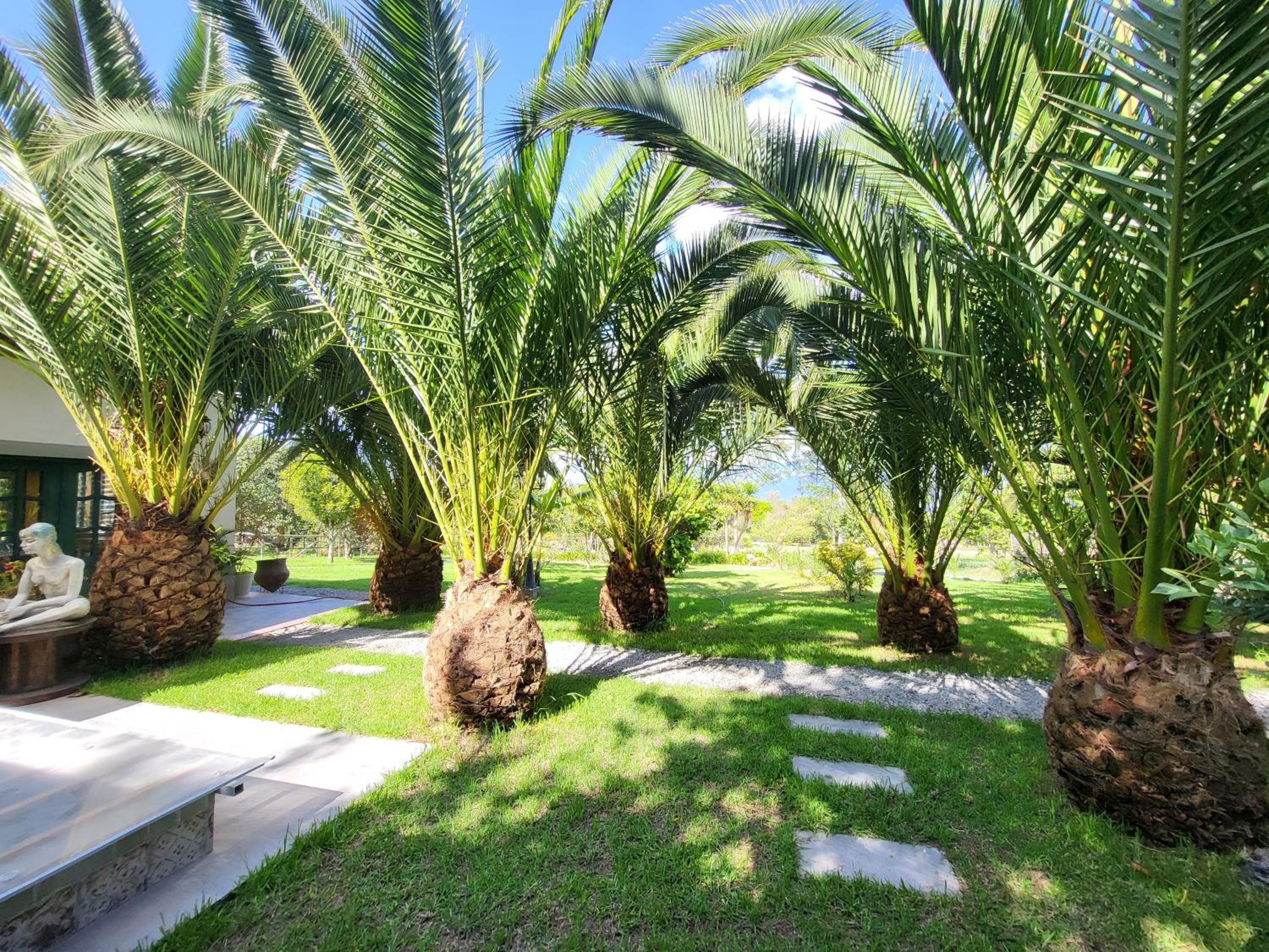 Quinta Paolita