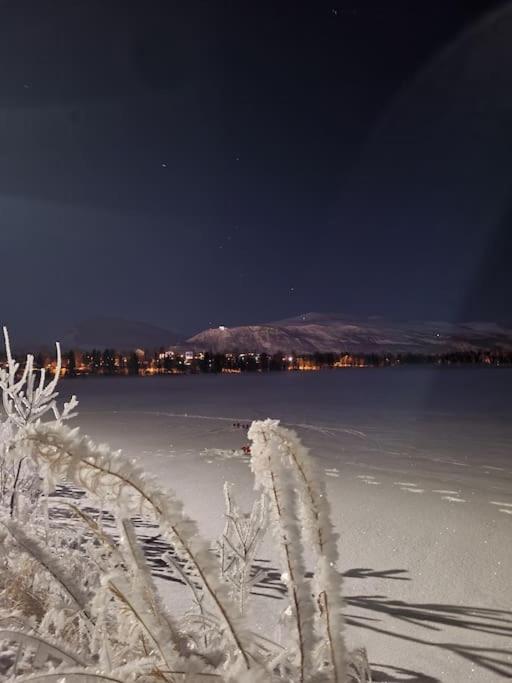 3 bedrooms apartment! Close to Aurora observatory. view 5