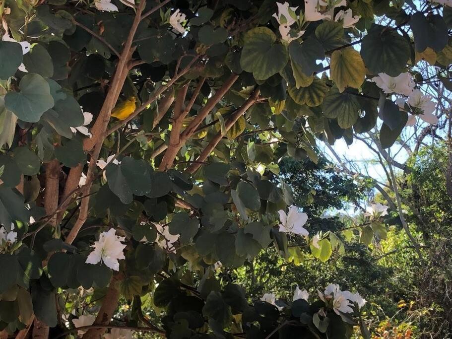 Chalé Canto das Candeias