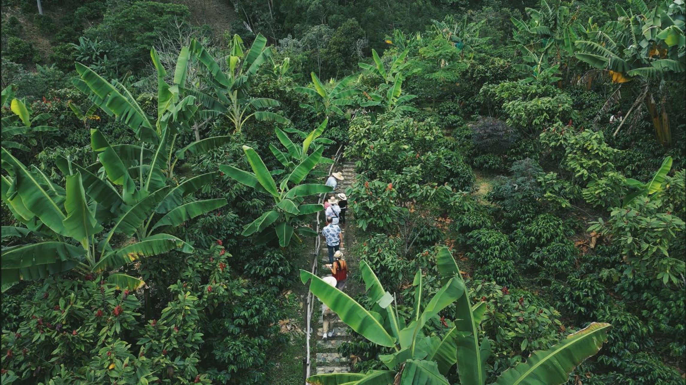 LA HERMOSA CASA AMARILLA