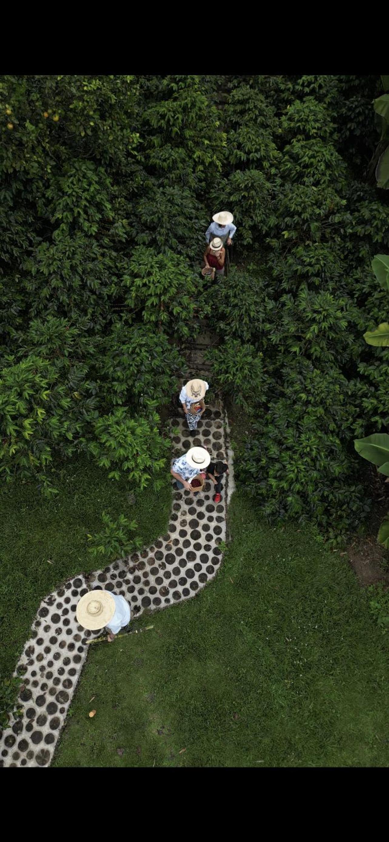LA HERMOSA CASA AMARILLA