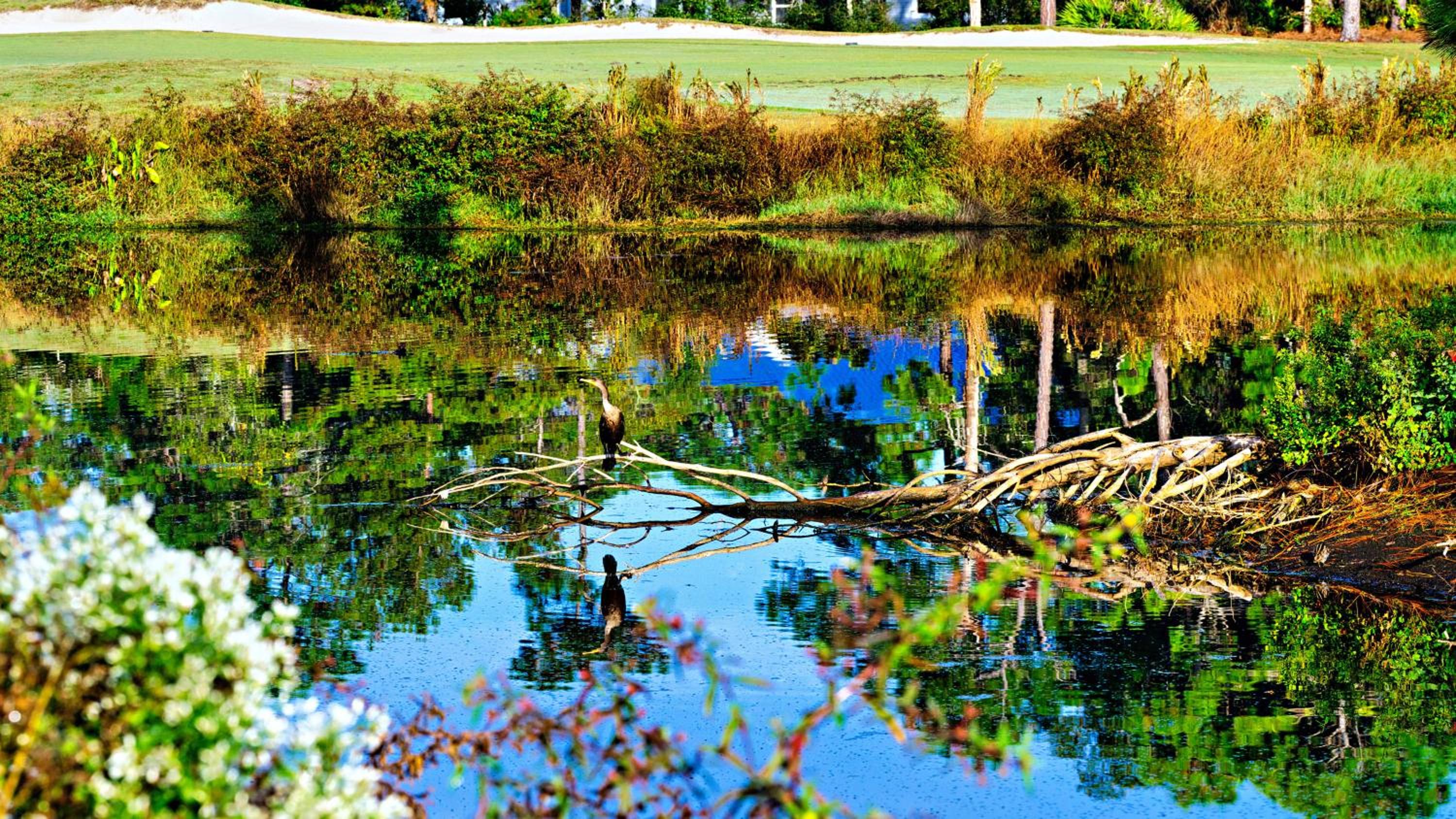 St James Bay Golf & Pickleball Resort