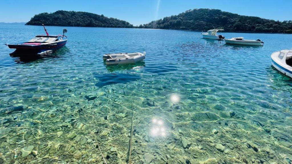 Lovely apartments on the private Beach - island Korčula view 5