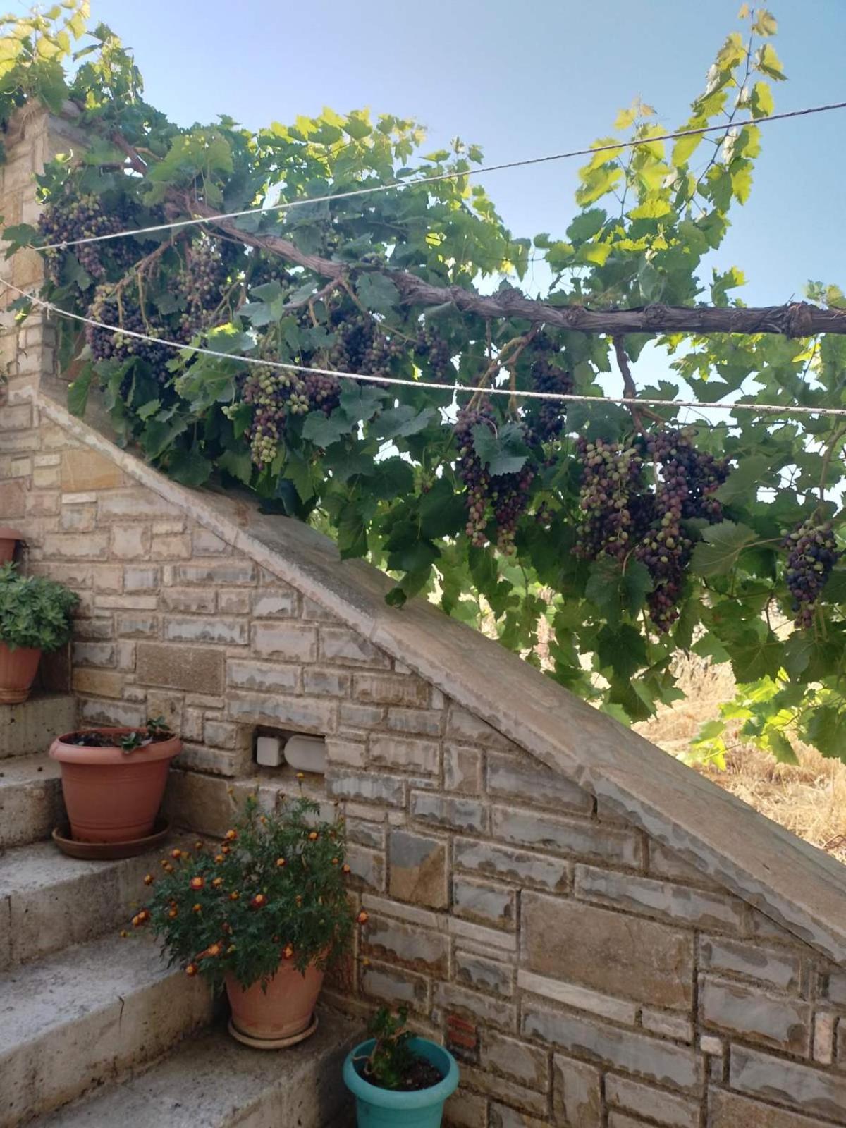 Villa Sunset photo 3