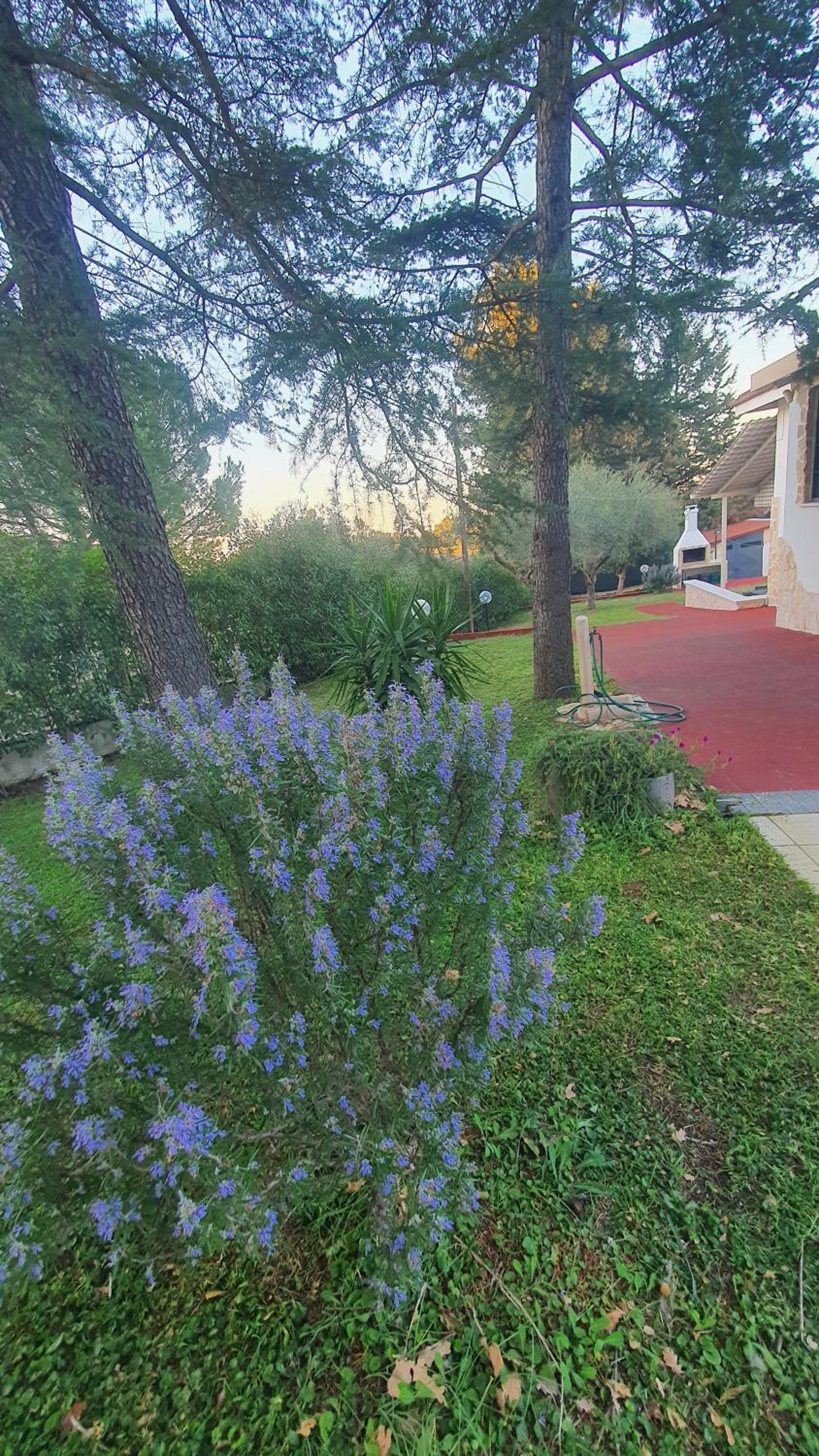 Photo 27