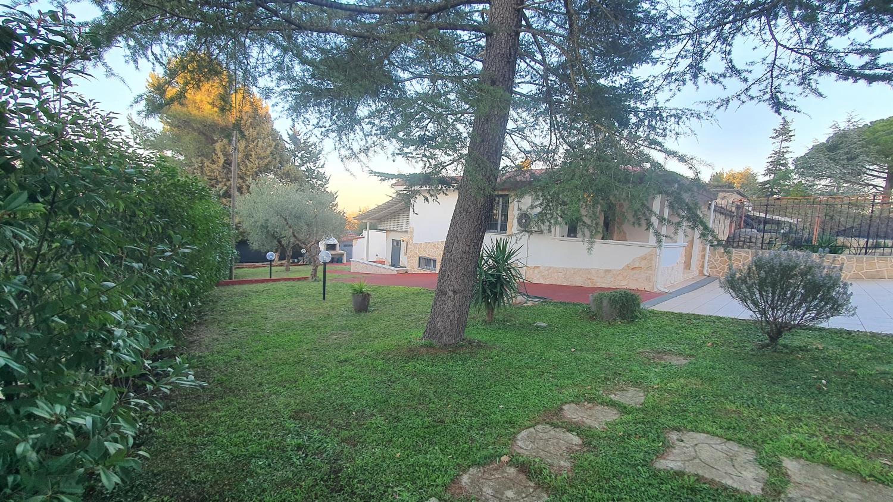 Photo 26