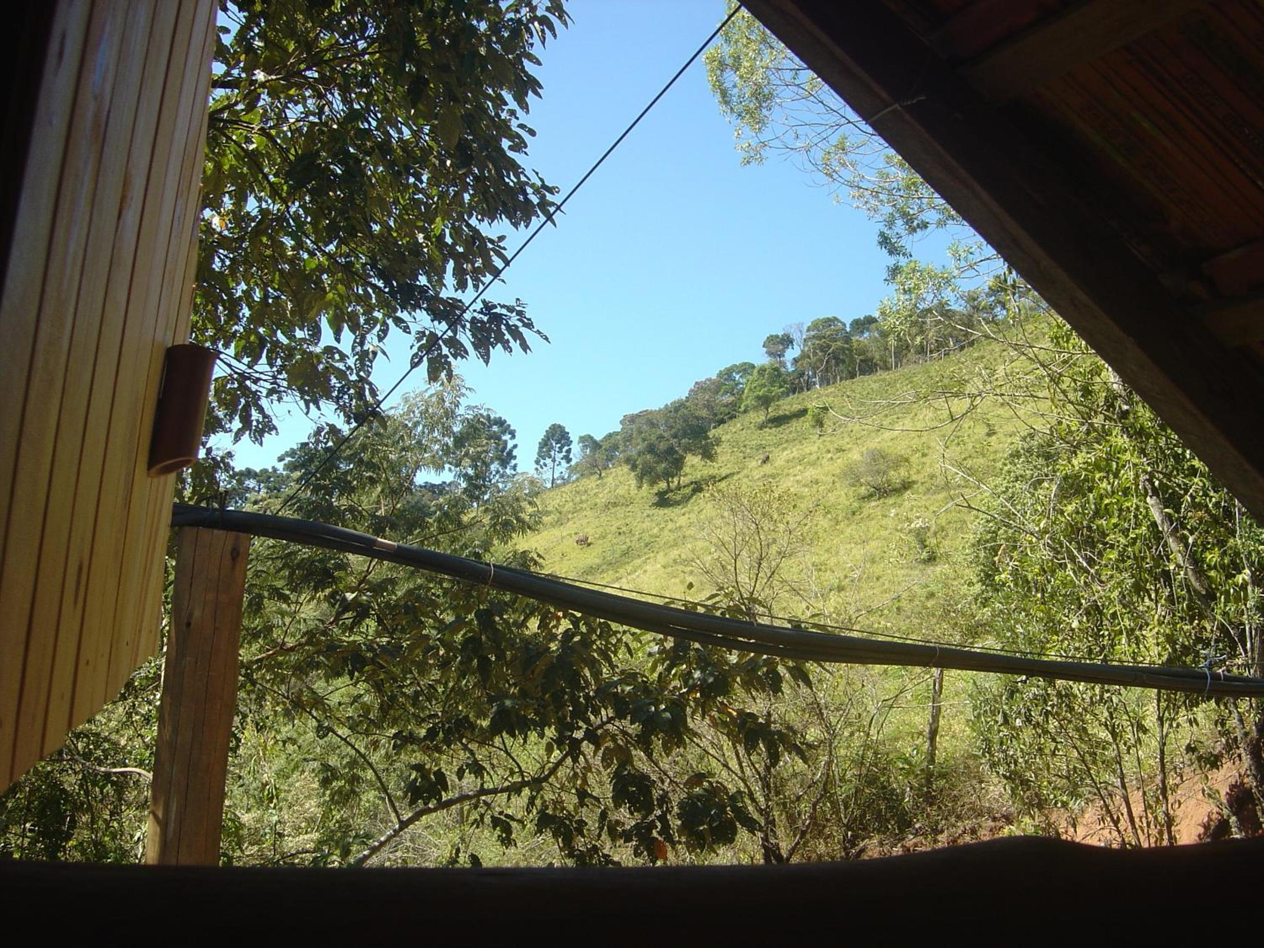 Orgânica-Mente B&B