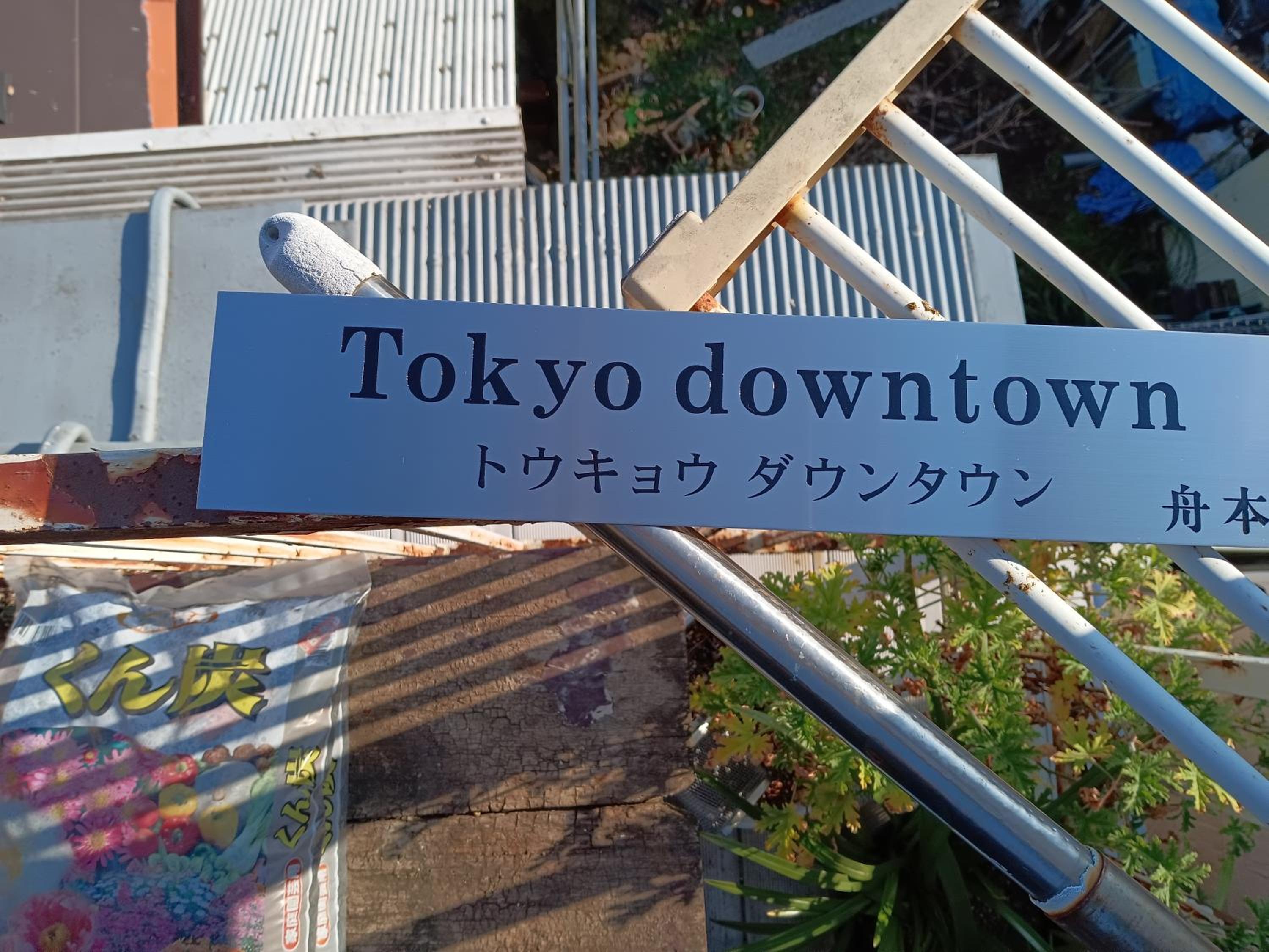 Tokyo downtown