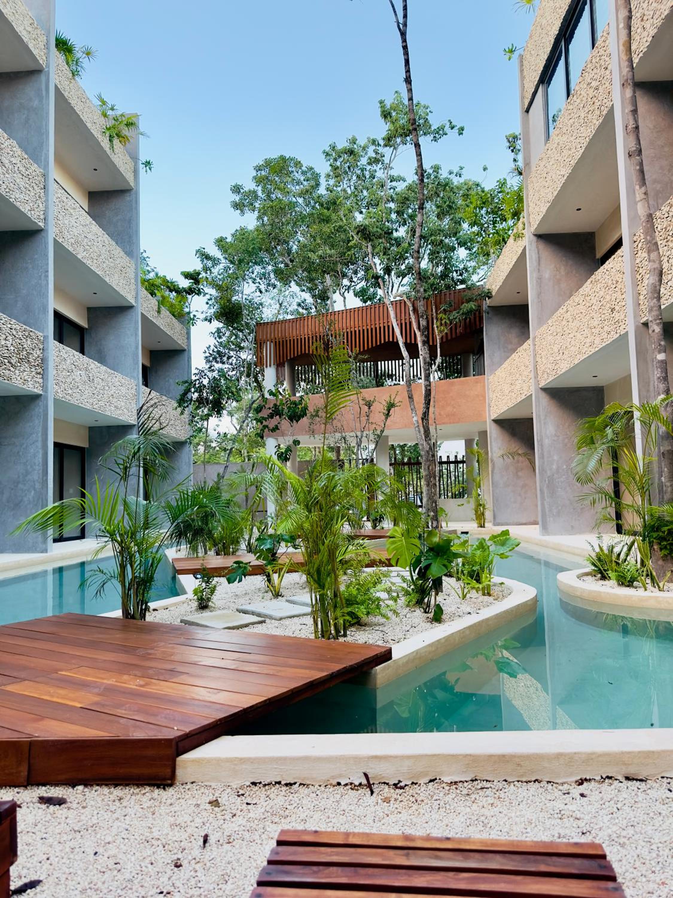 *Jungle PH w/pool, close to Downtown & Beach view 4