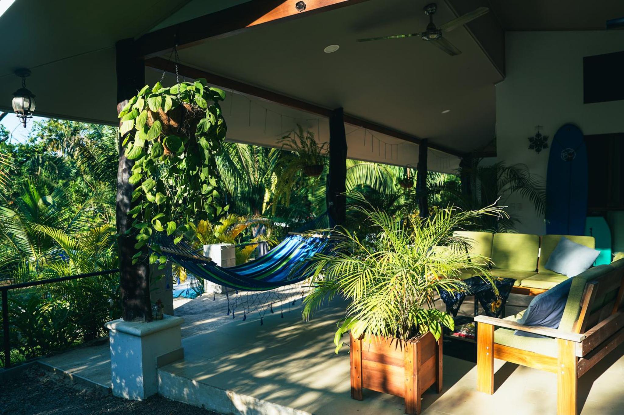 House in the palm forest