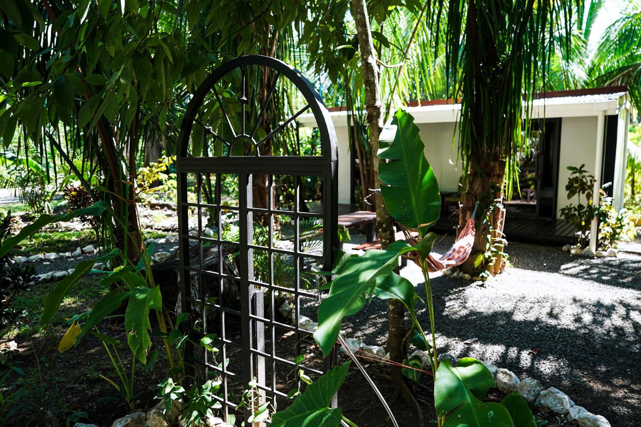 House in the palm forest