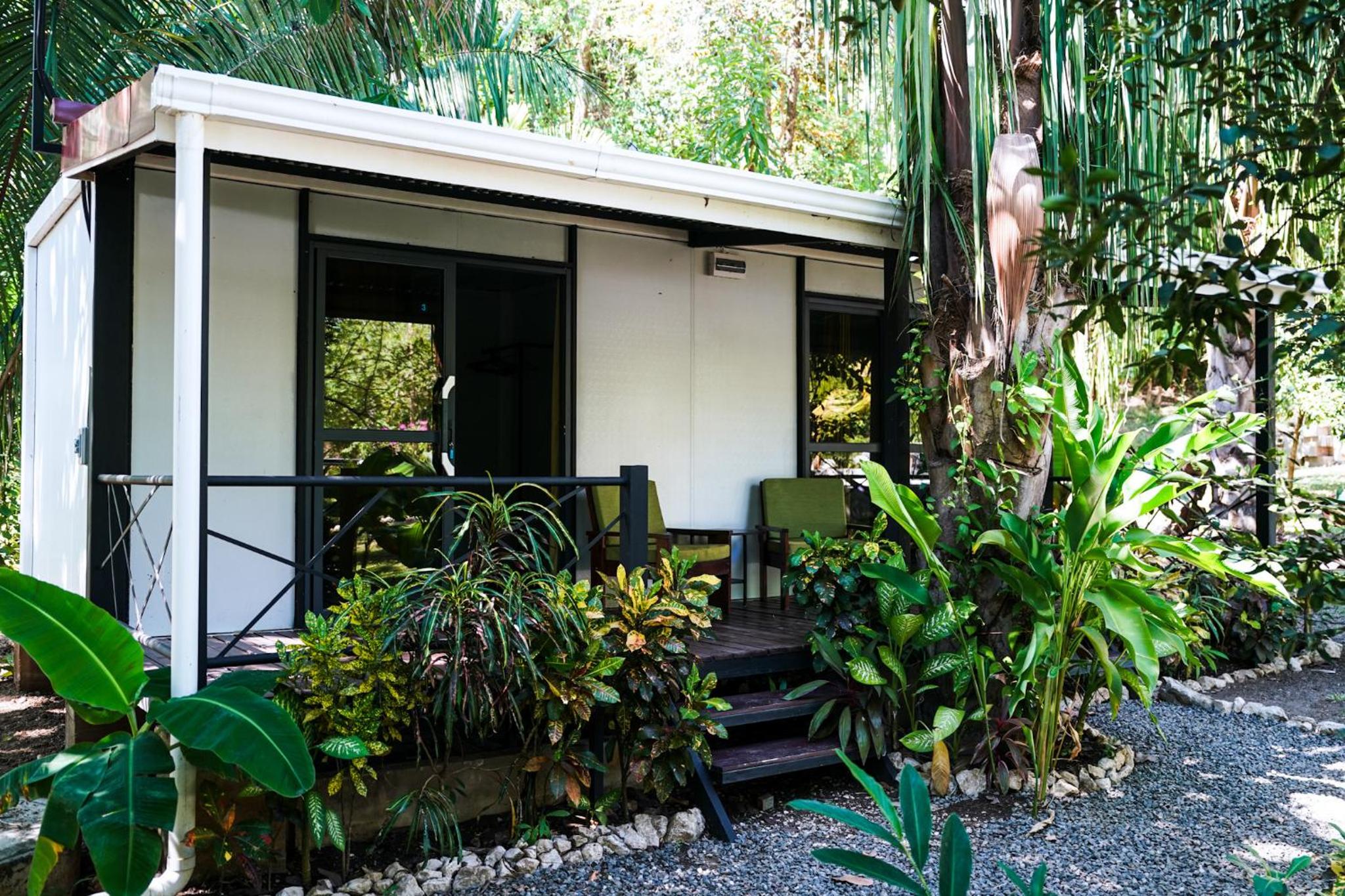 House in the palm forest