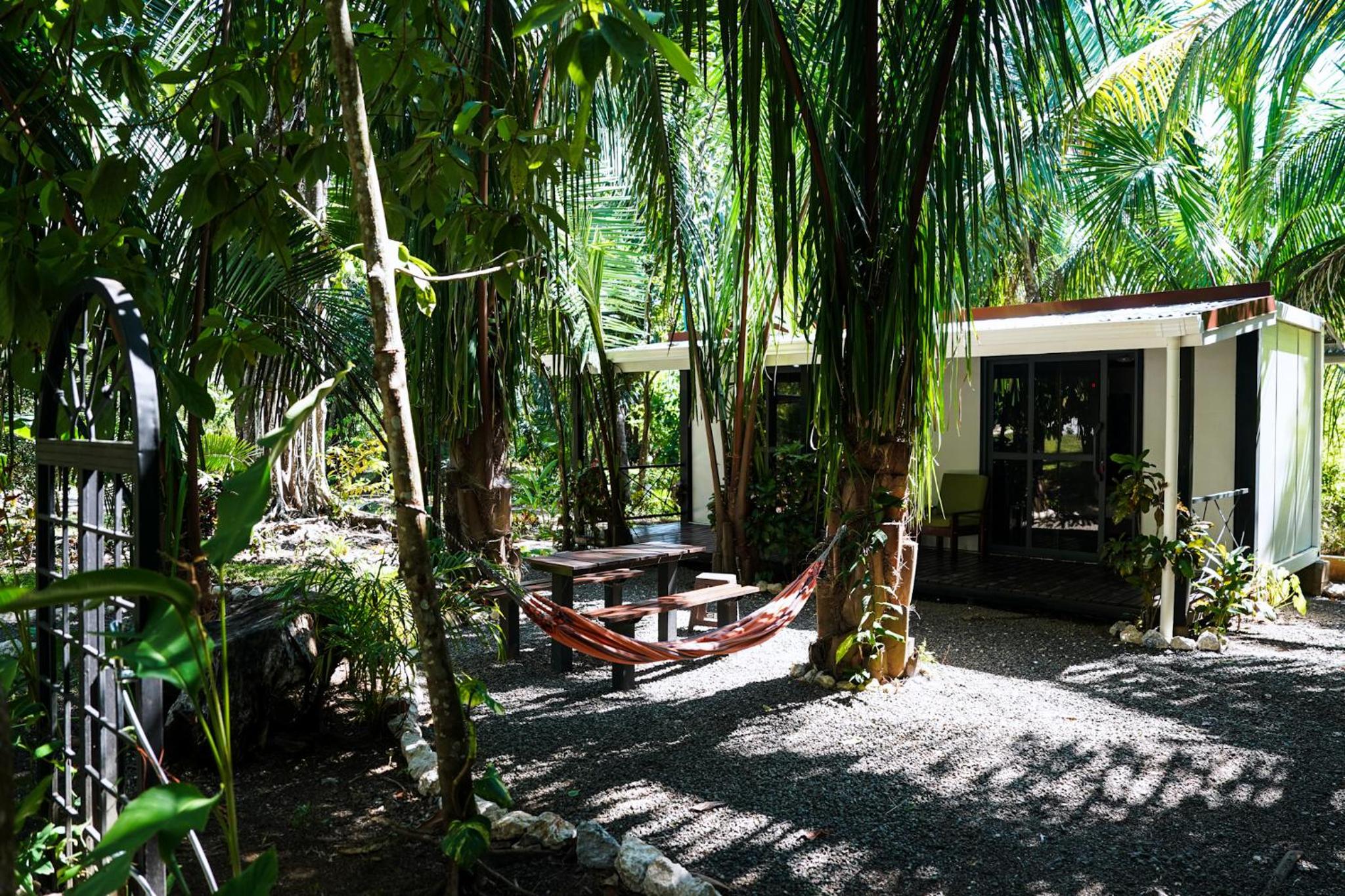 House in the palm forest