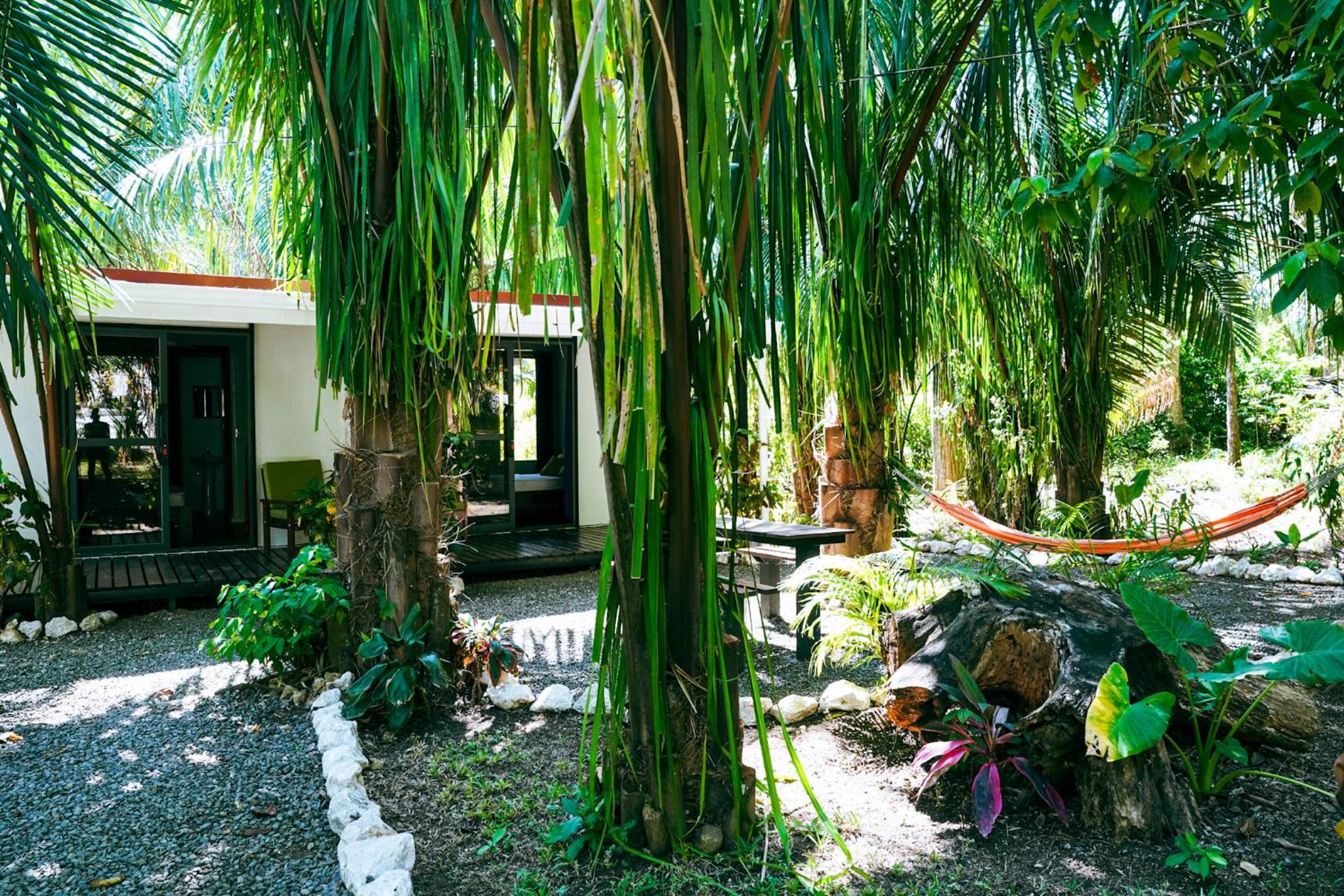 House in the palm forest