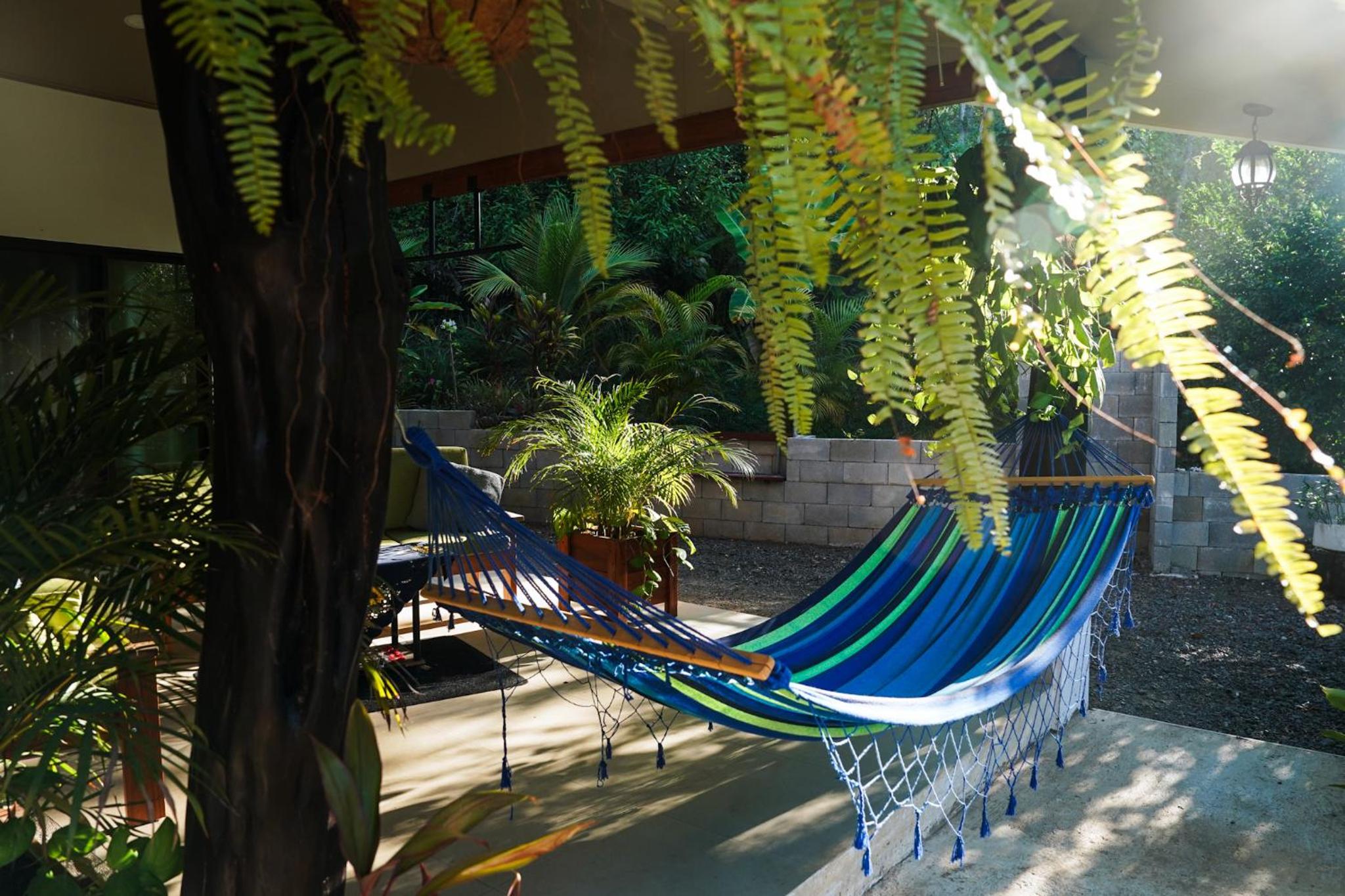 House in the palm forest
