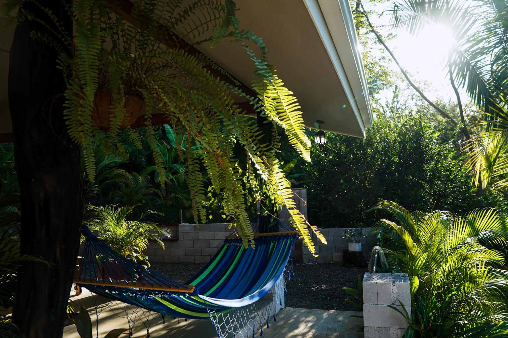 House in the palm forest