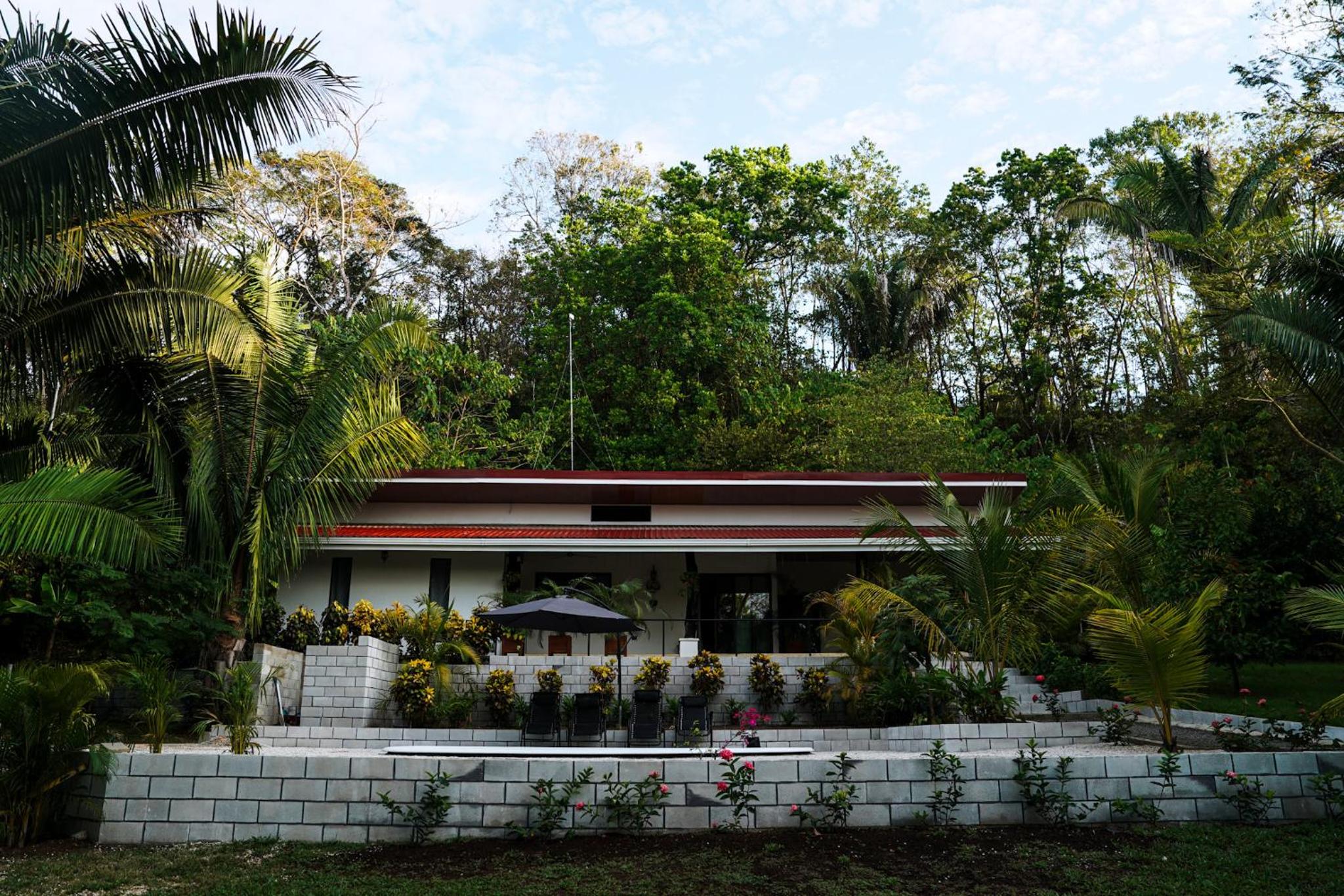 House in the palm forest