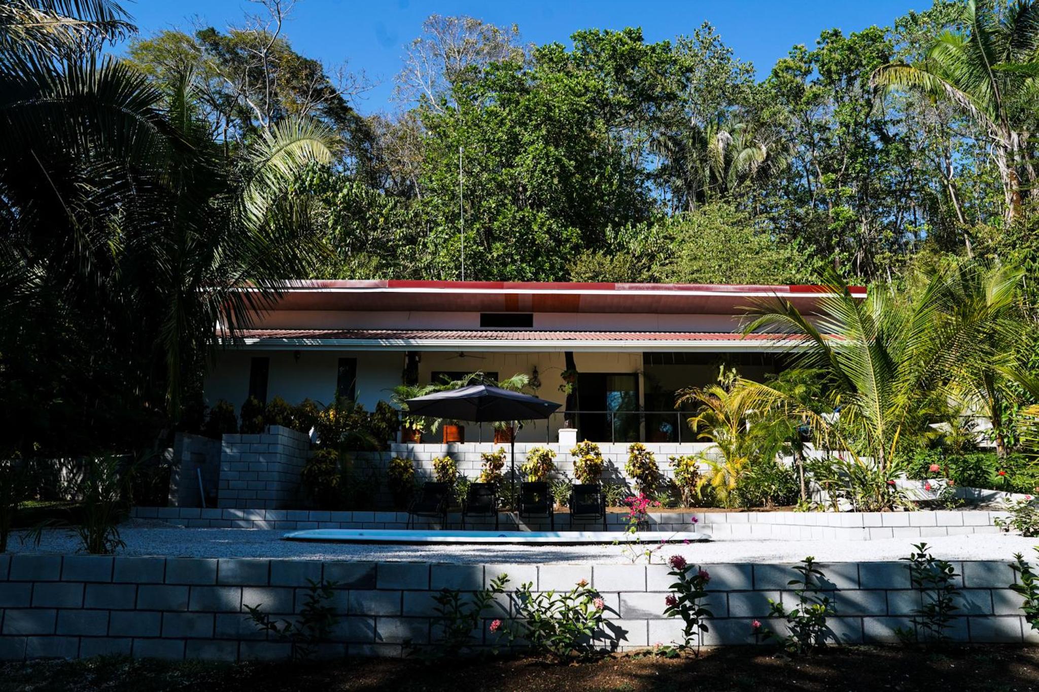 House in the palm forest