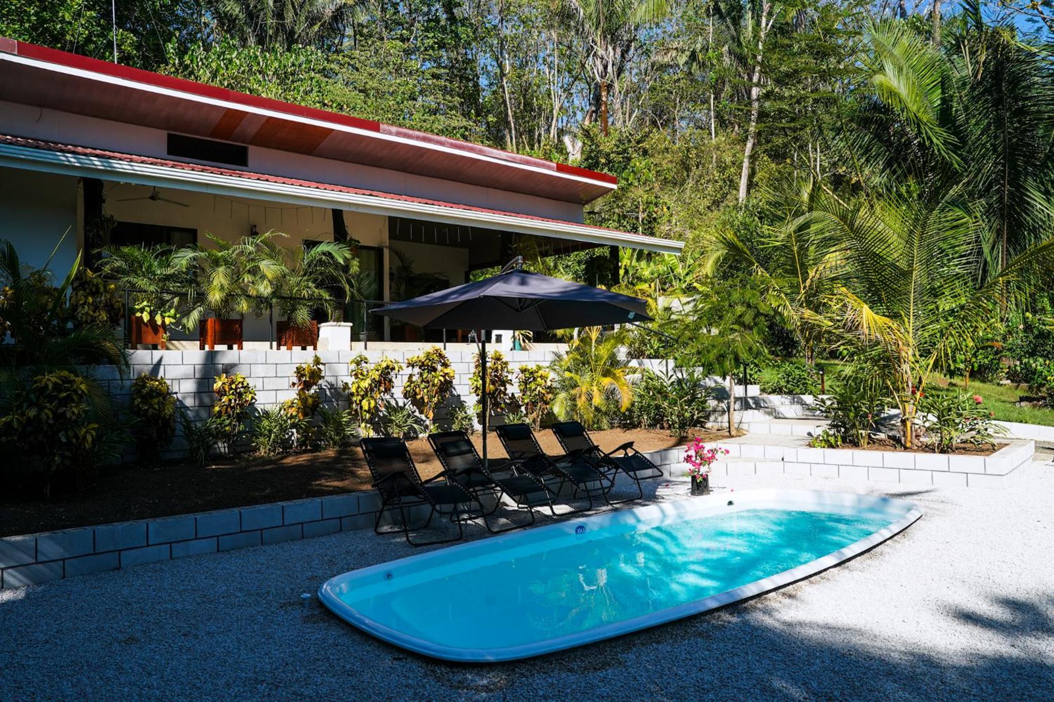 House in the palm forest