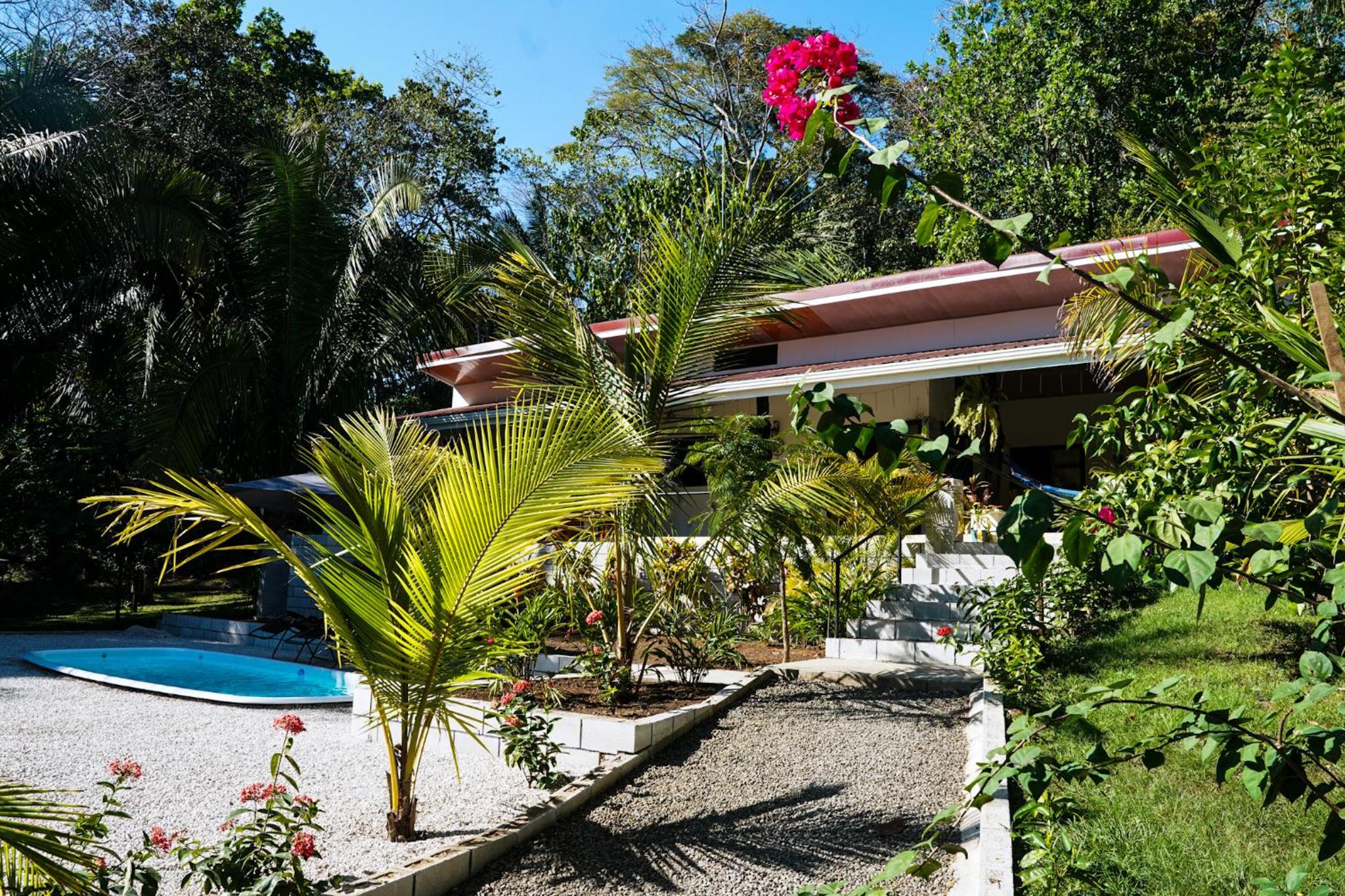 House in the palm forest