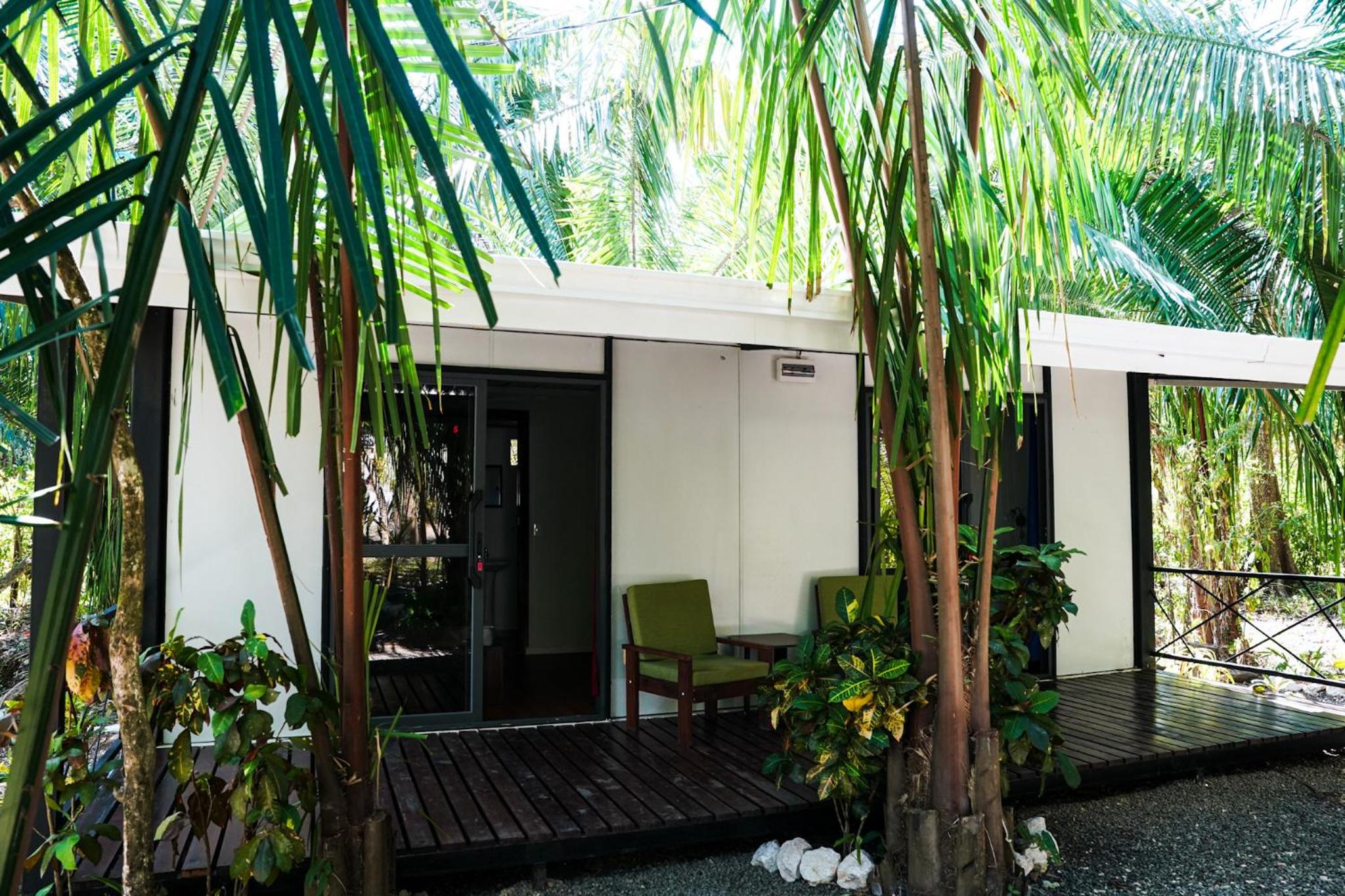 House in the palm forest