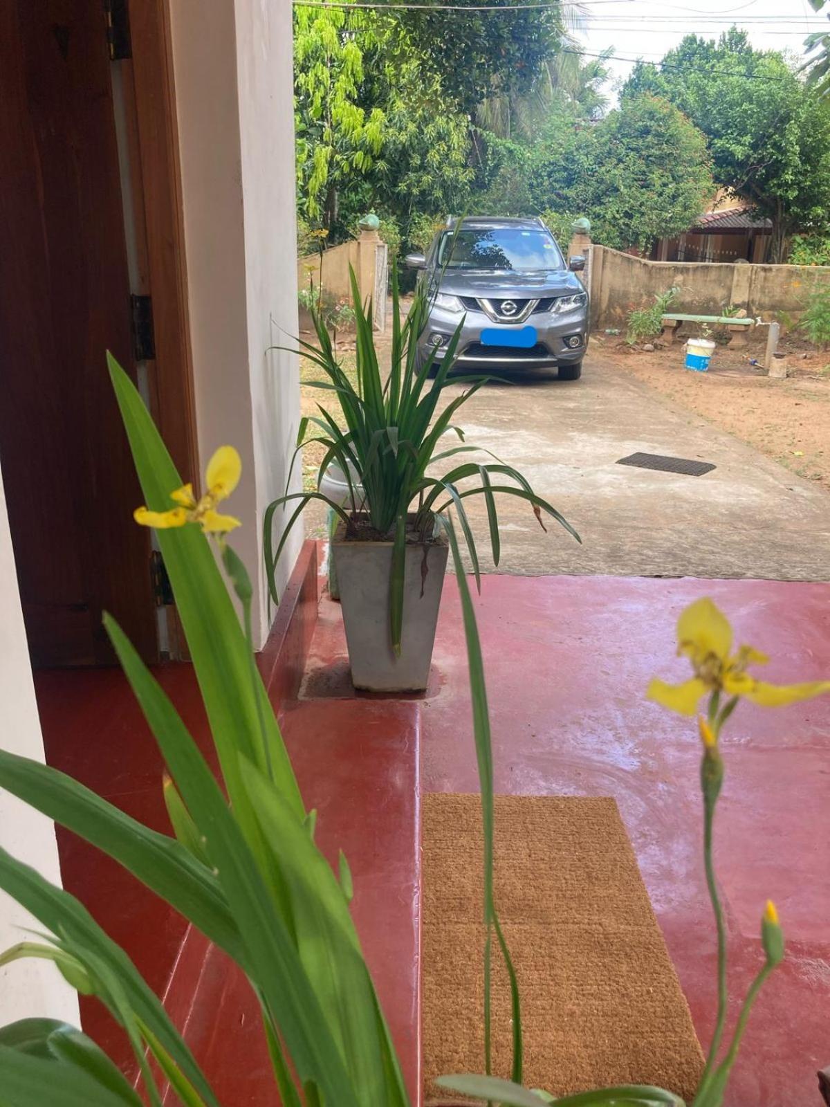 Ruwanwali Resort
