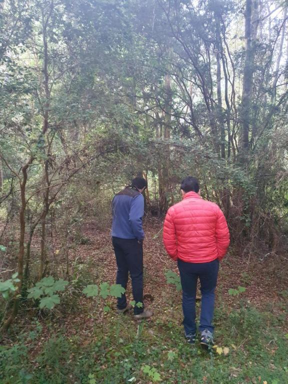 CABAÑA ENTRE ARRAYANES Y COPIHUES Selva VALDIVIANA