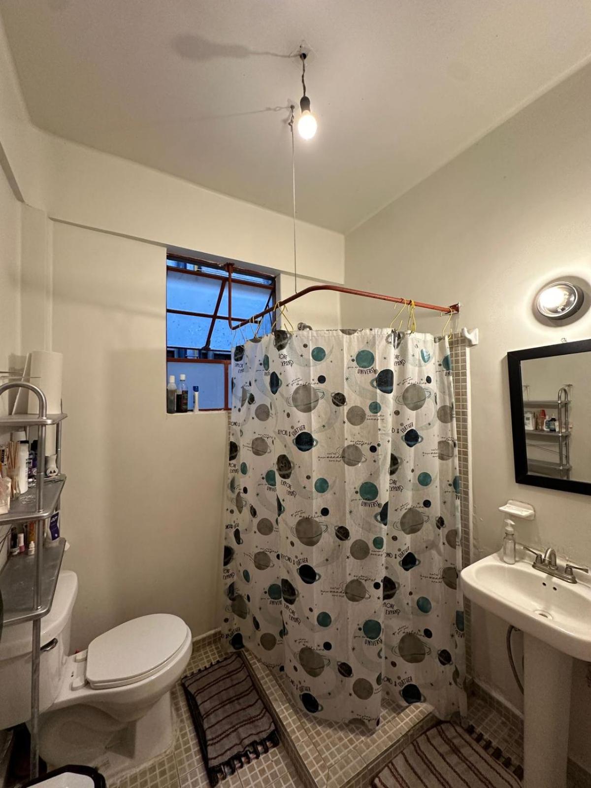 Photo 255